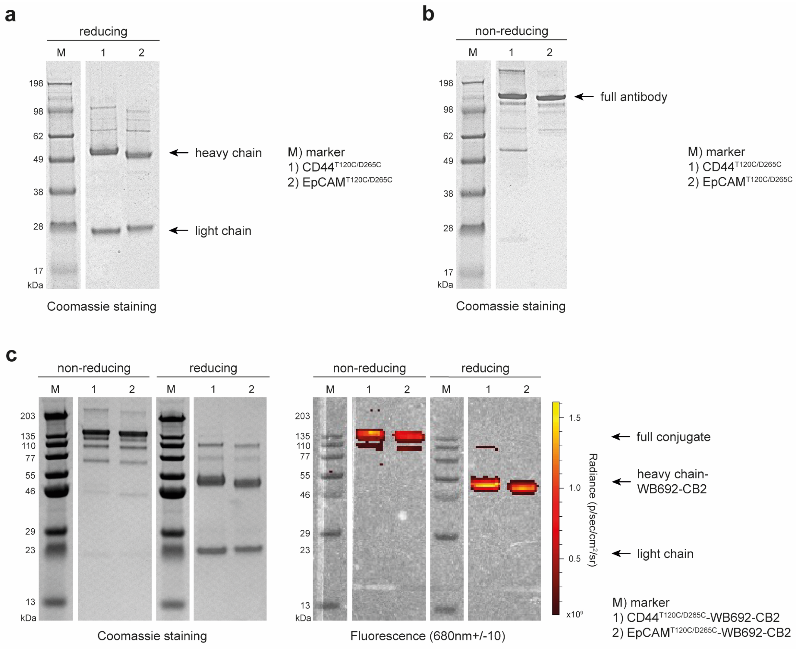 Preprints 120087 g001