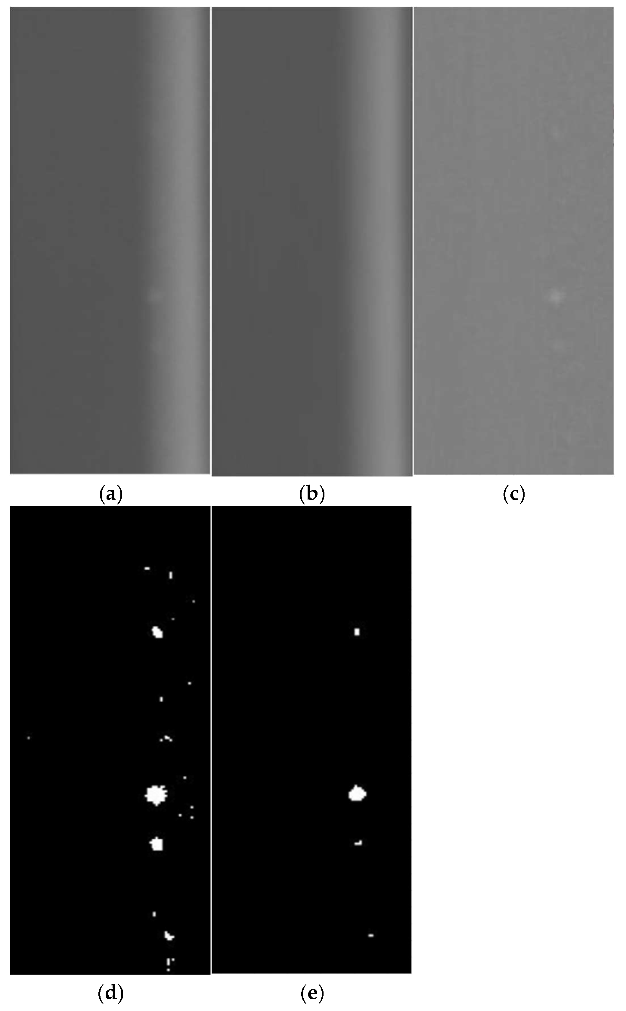 Preprints 120571 g008