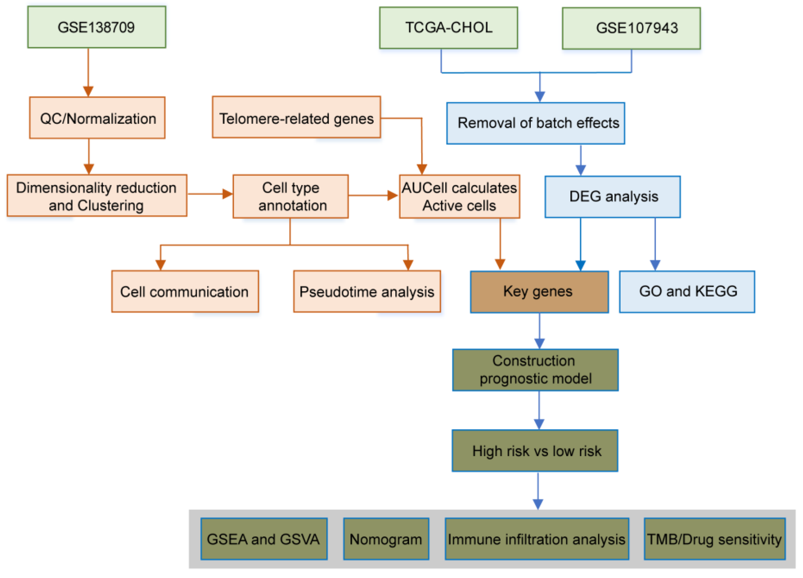 Preprints 107492 g001