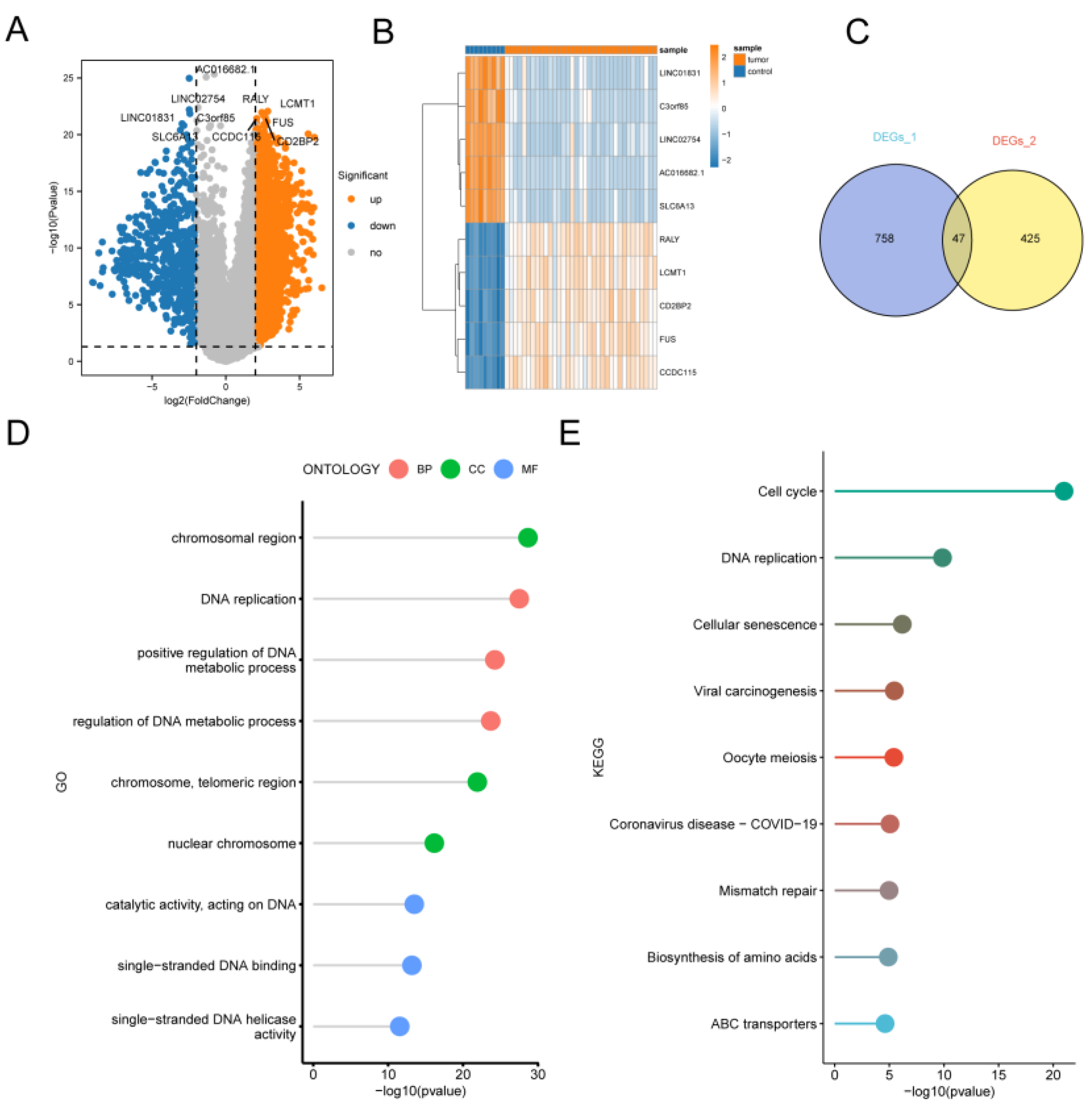 Preprints 107492 g008