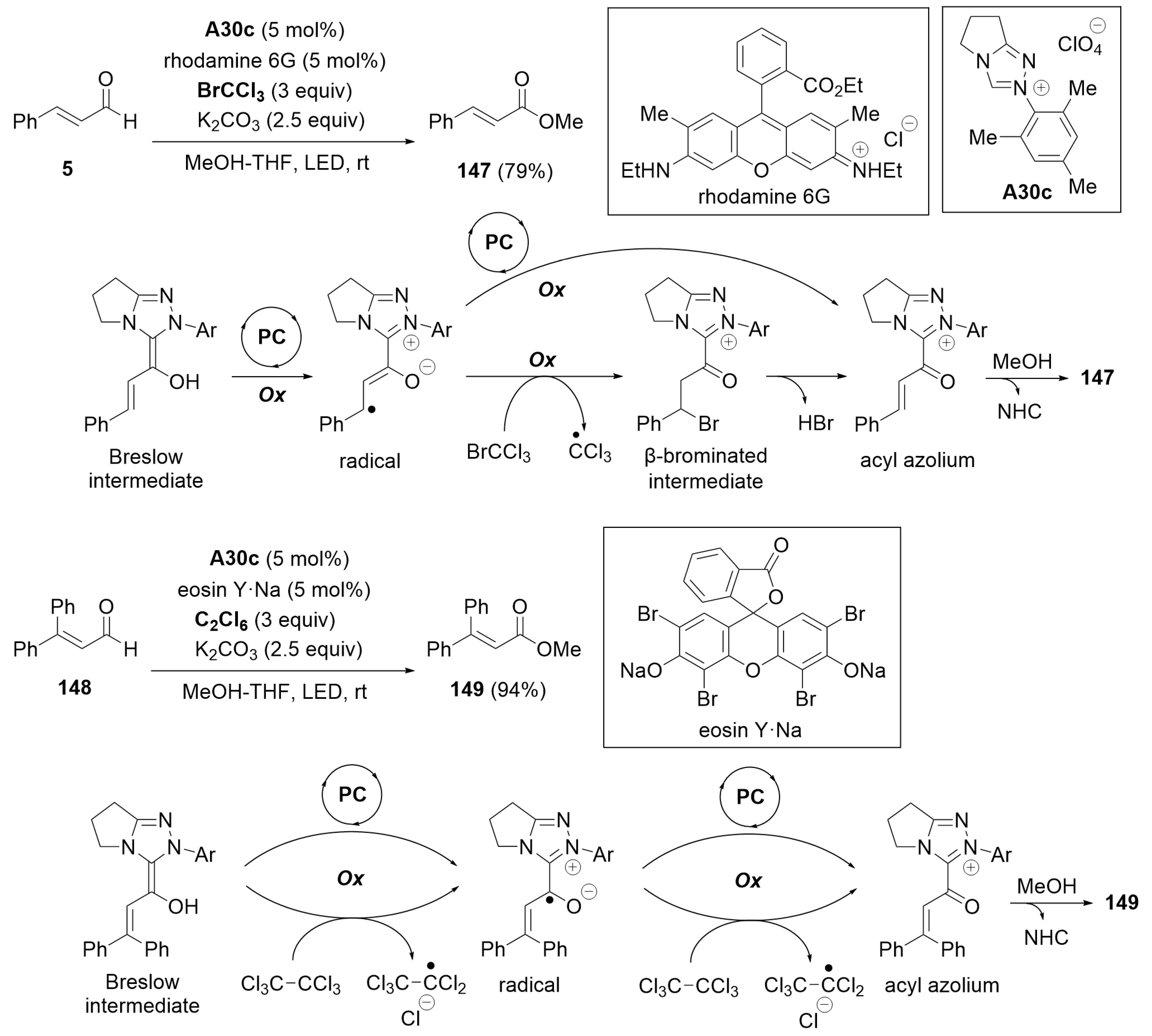 Preprints 100783 sch049