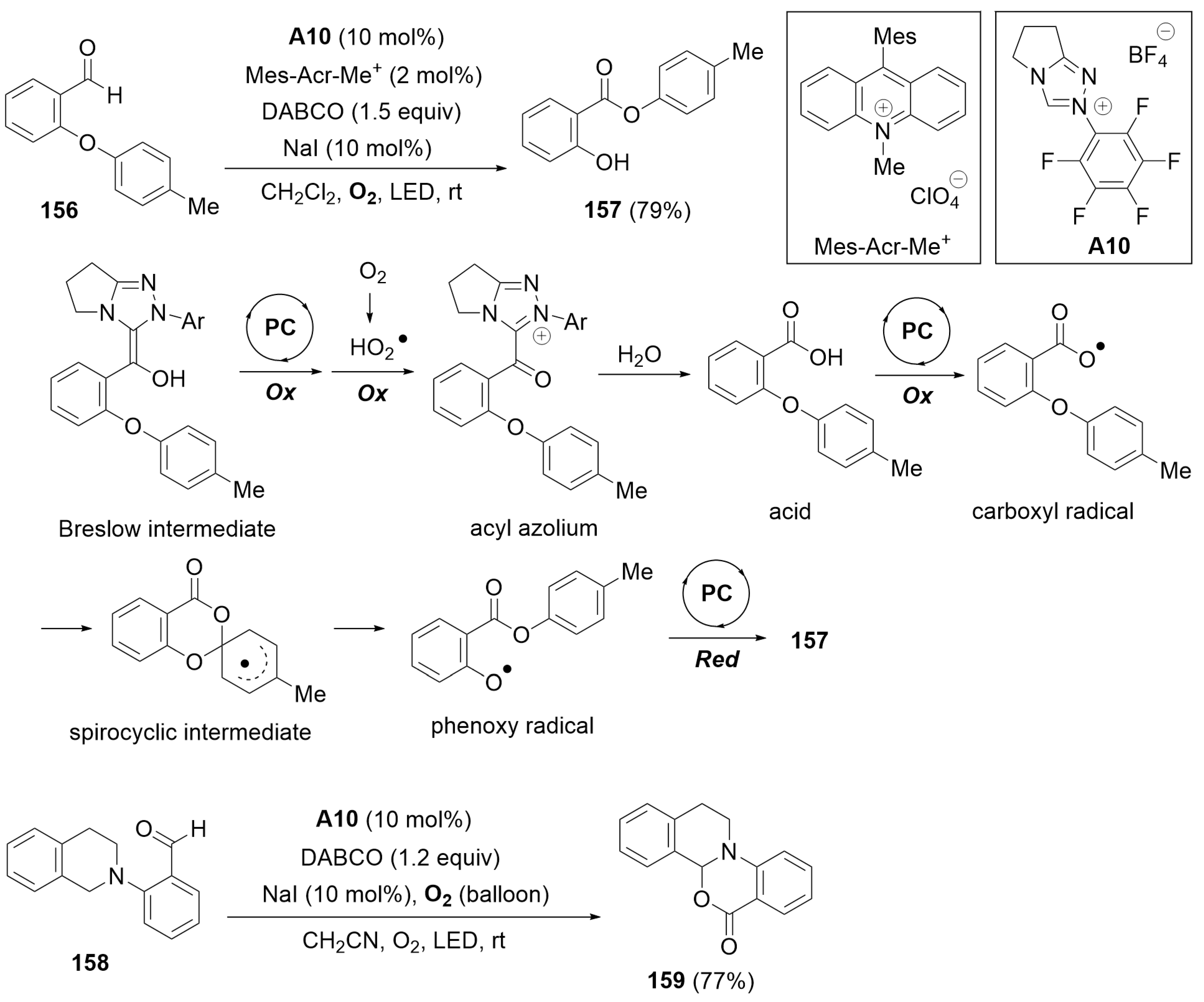 Preprints 100783 sch051