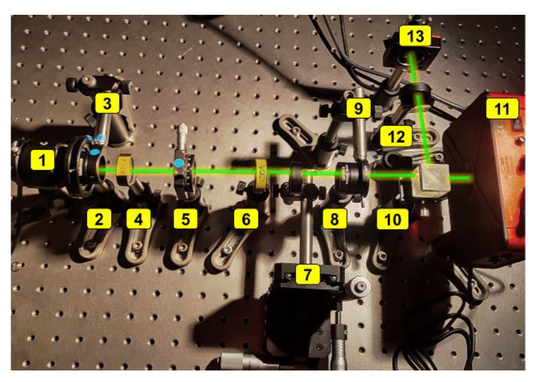 Preprints 100755 g004