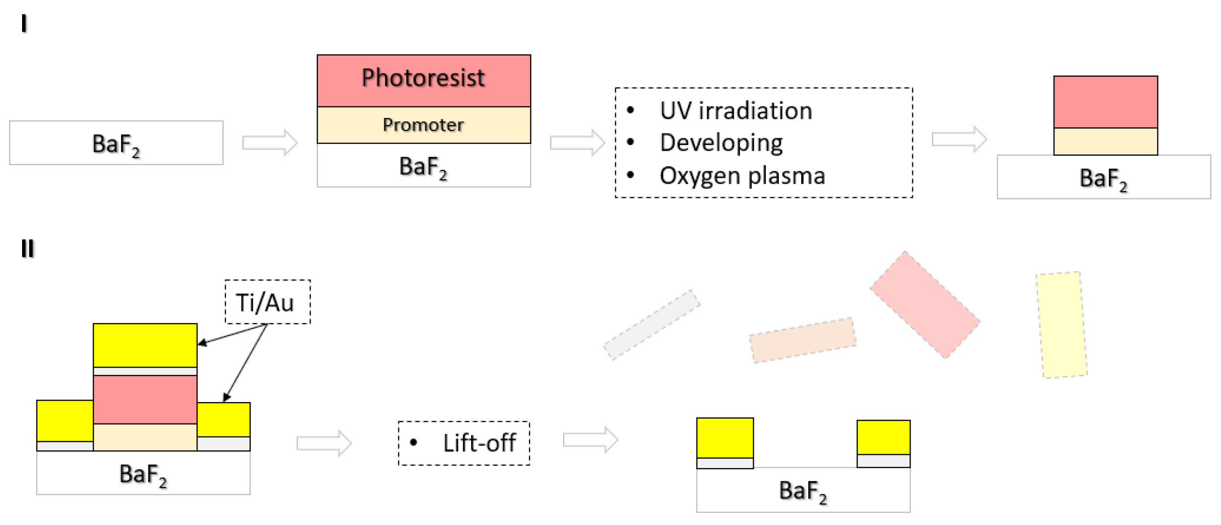 Preprints 100755 g006