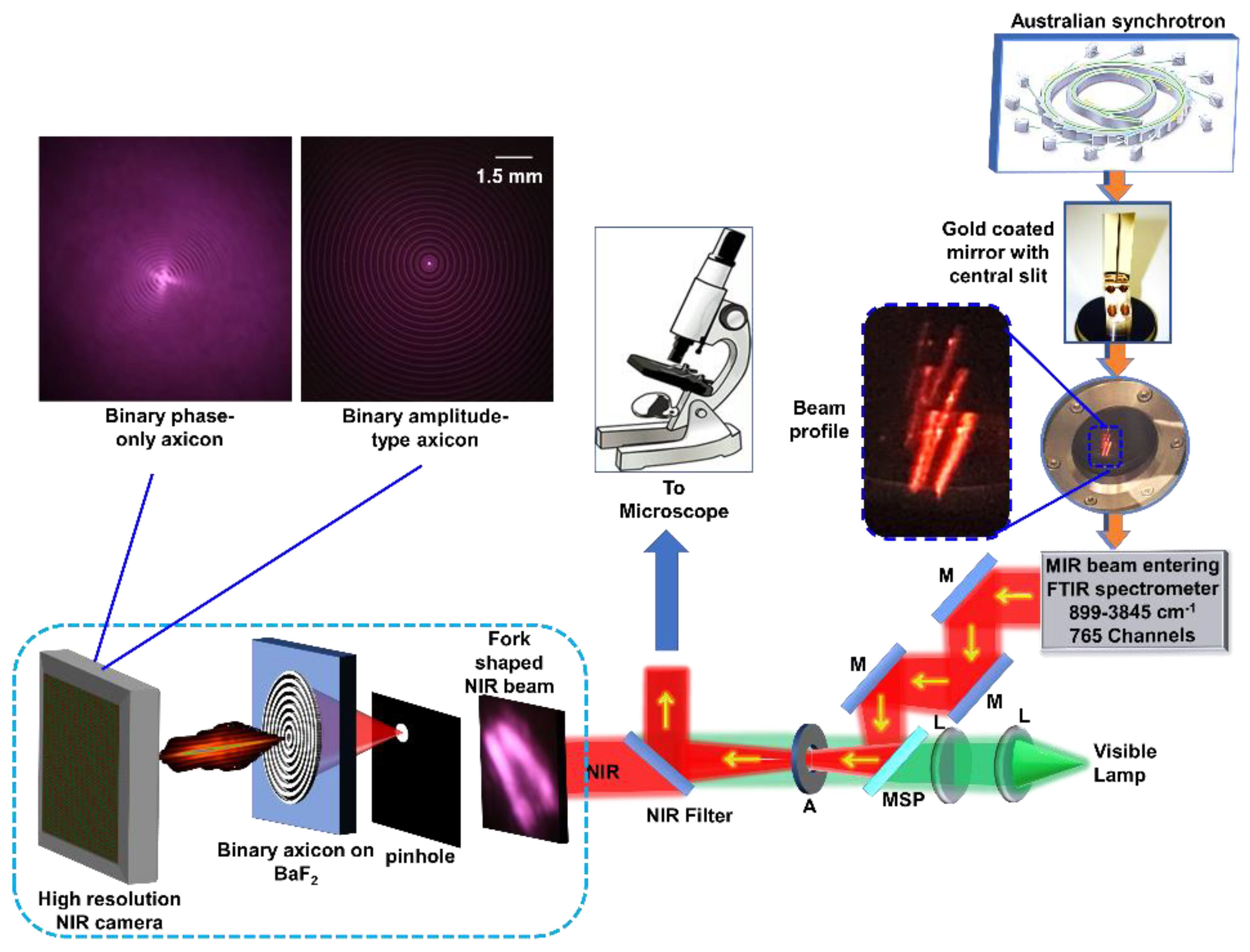 Preprints 100755 g009