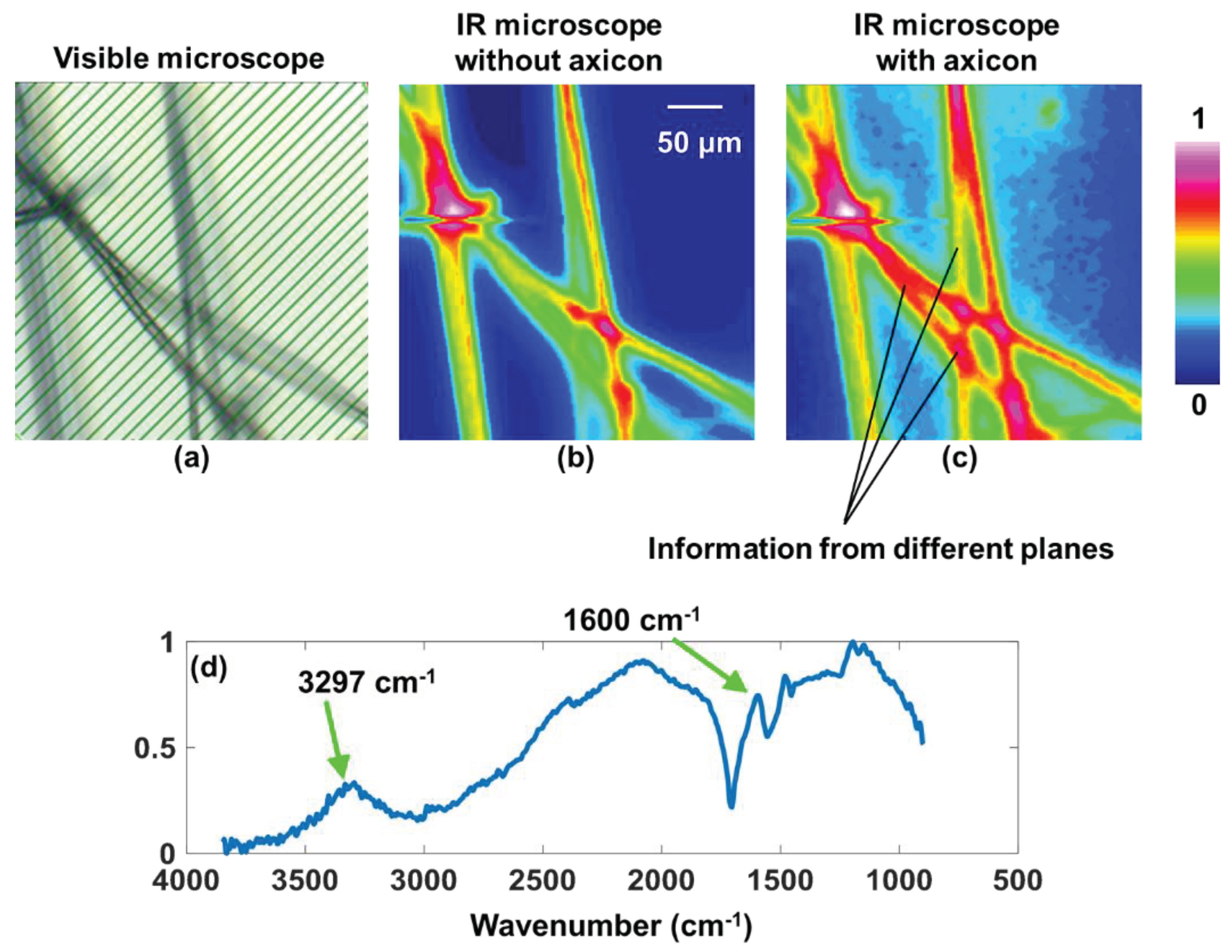 Preprints 100755 g010