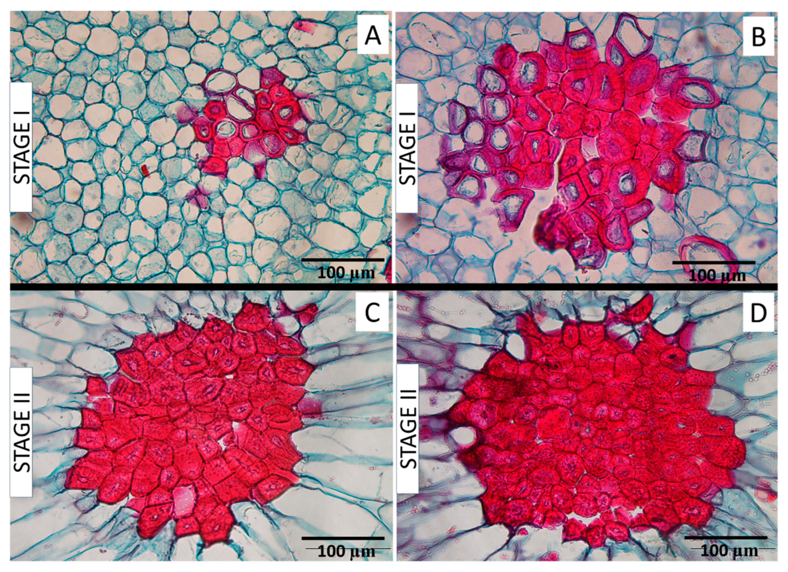 Preprints 85871 g006