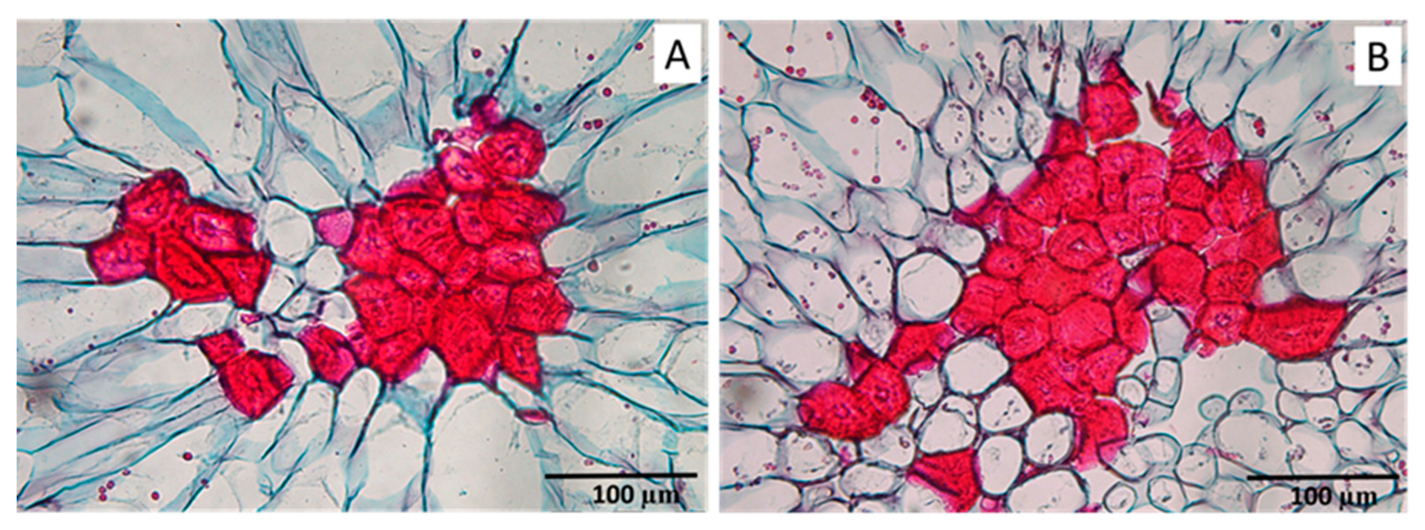 Preprints 85871 g007