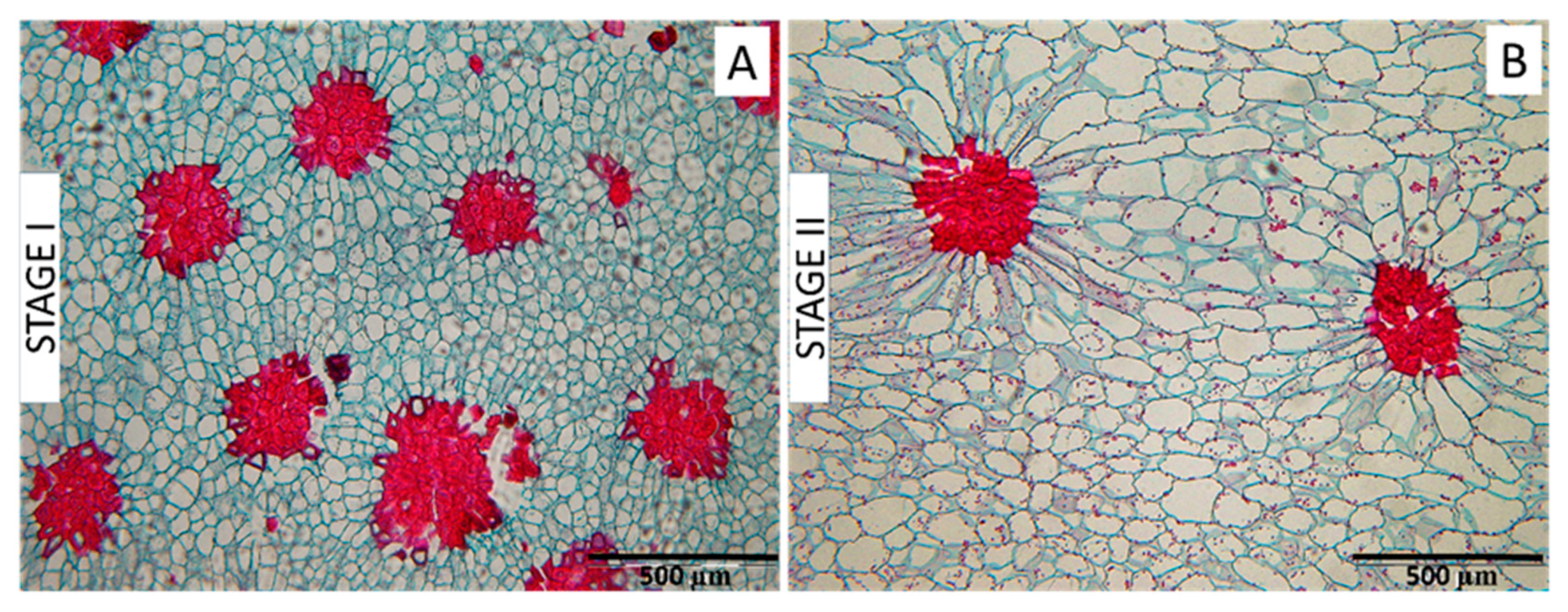 Preprints 85871 g008