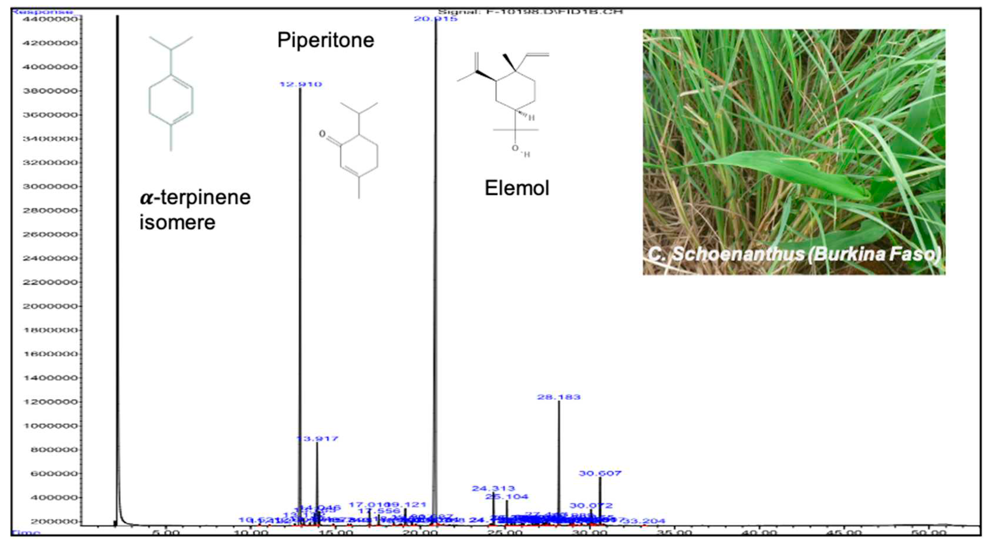 Preprints 72476 g001