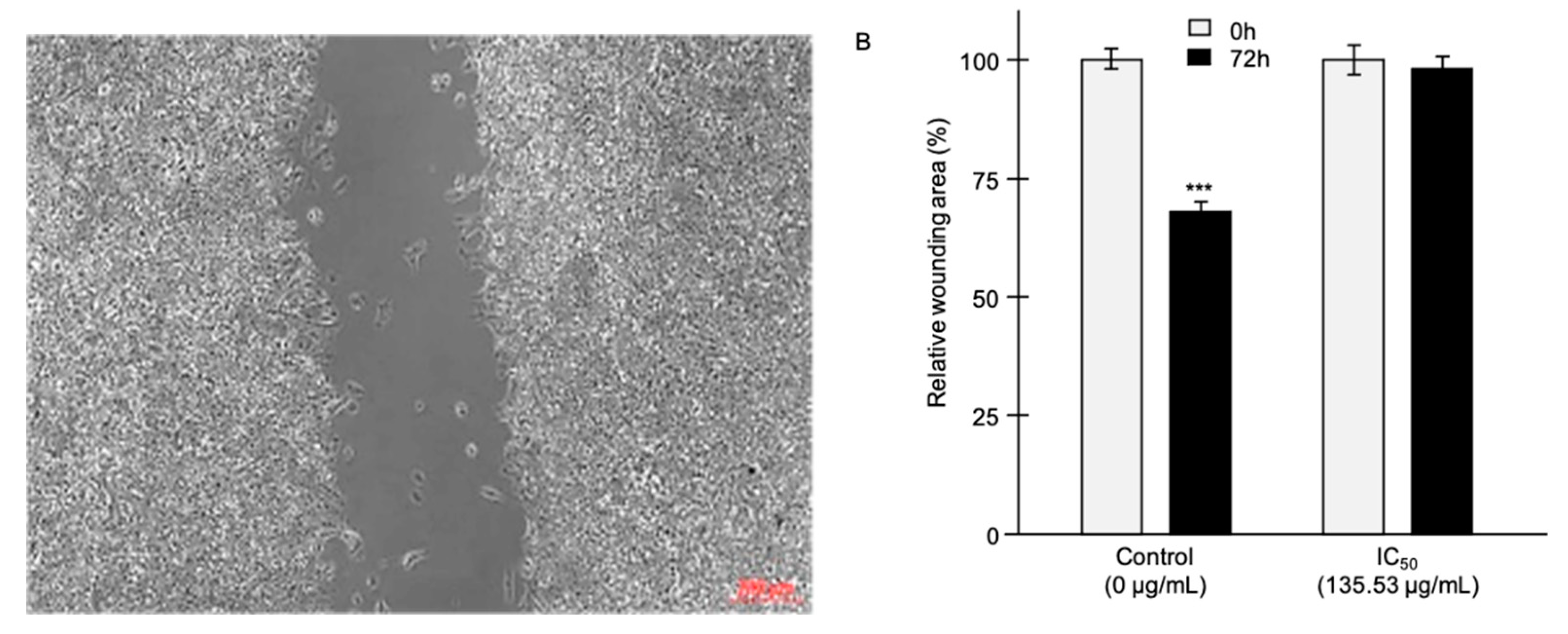 Preprints 72476 g003