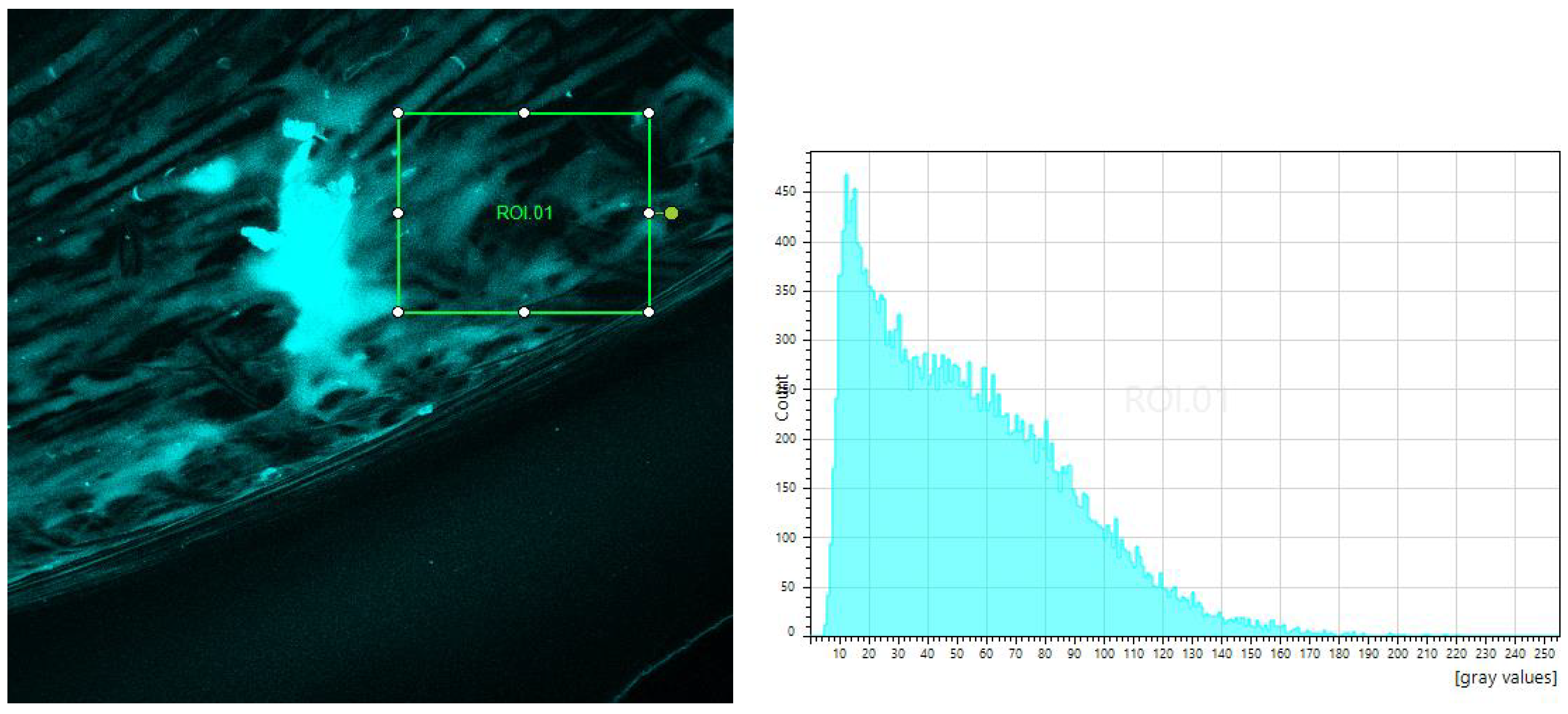 Preprints 95808 g008