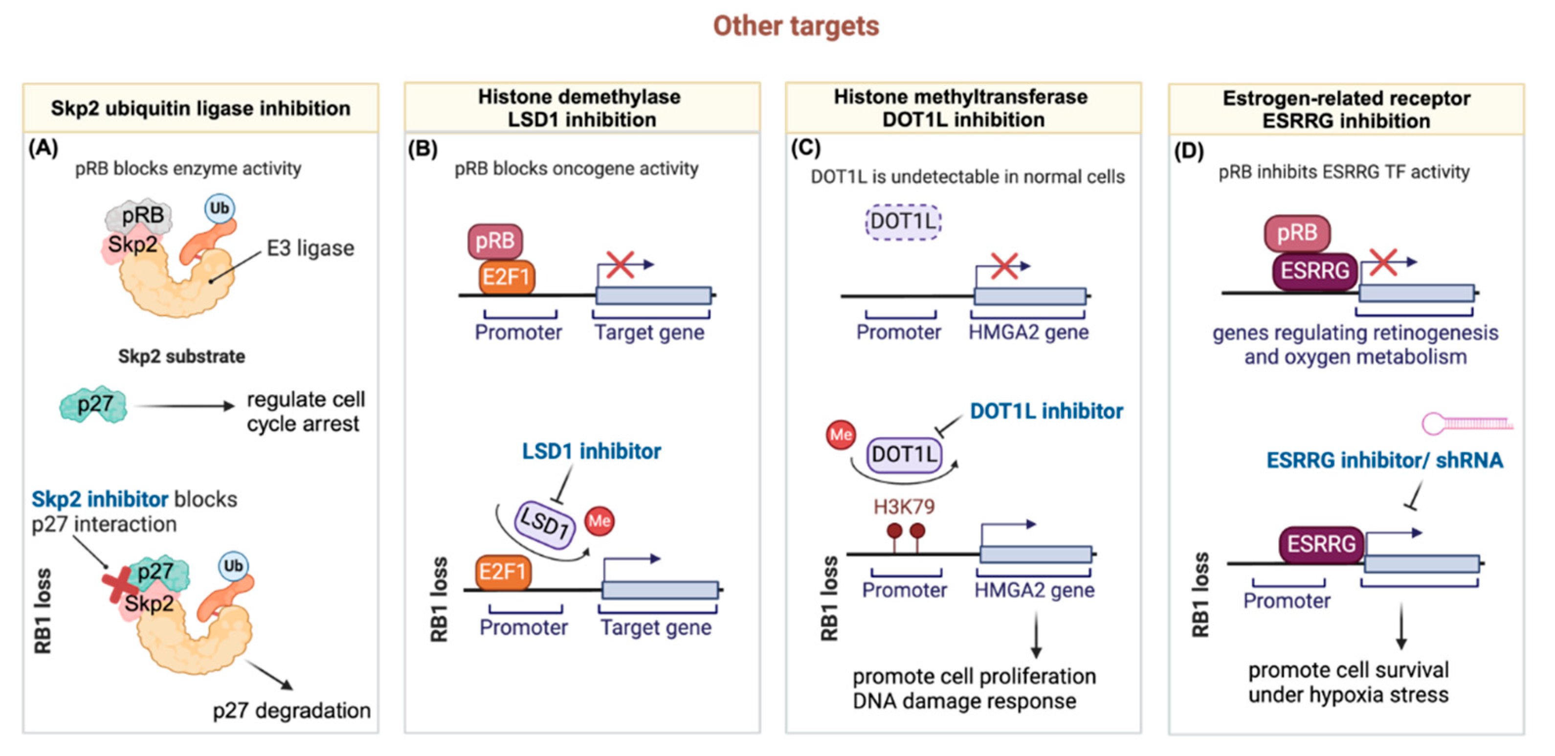 Preprints 101506 g003