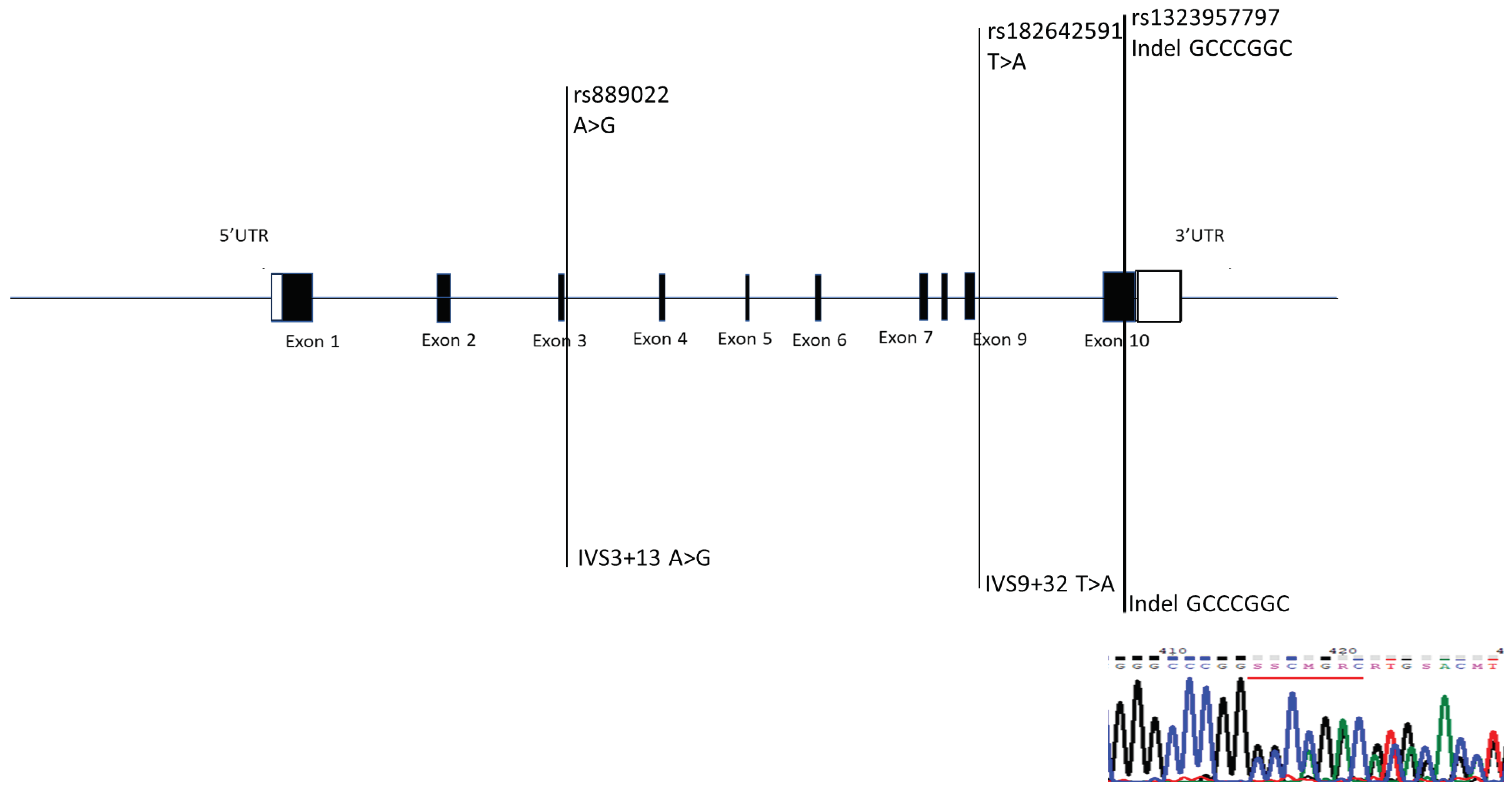 Preprints 102481 g002