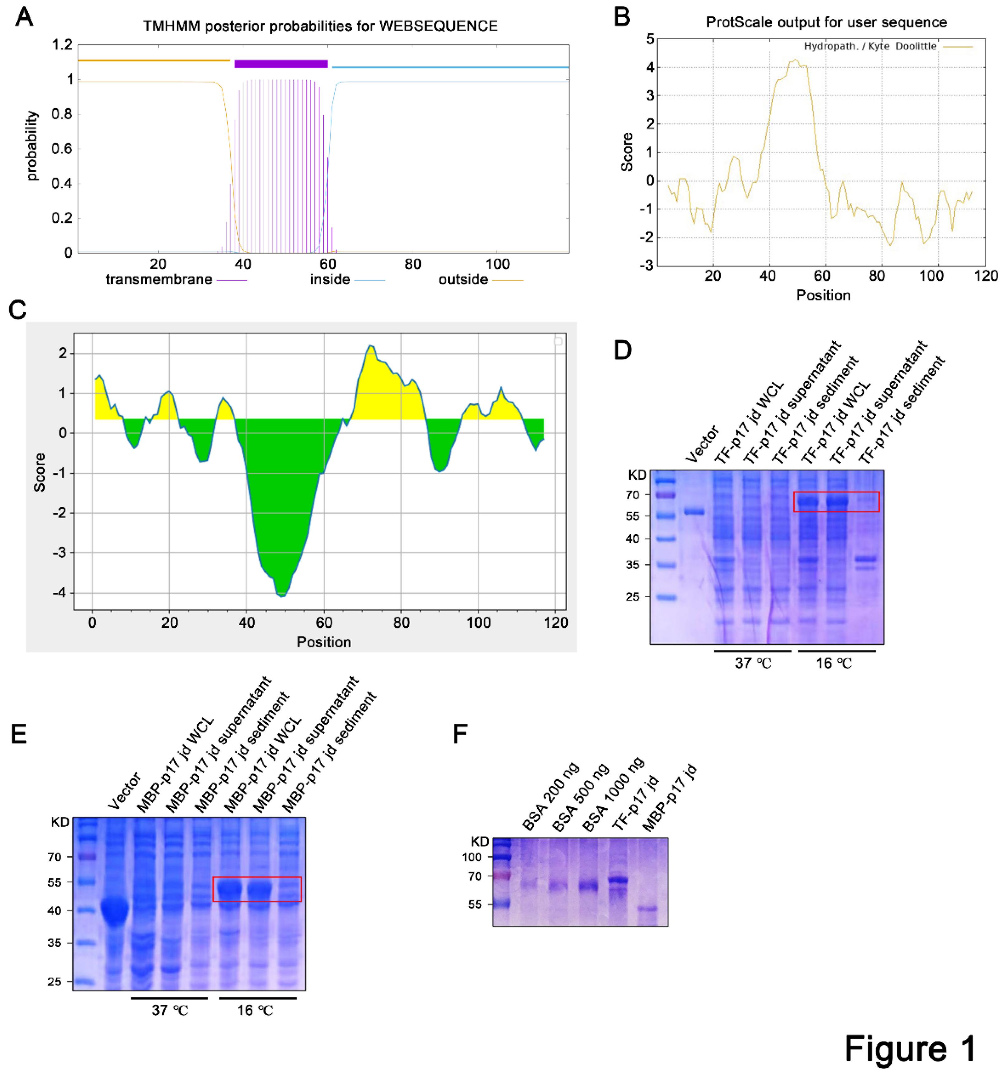 Preprints 137893 g001