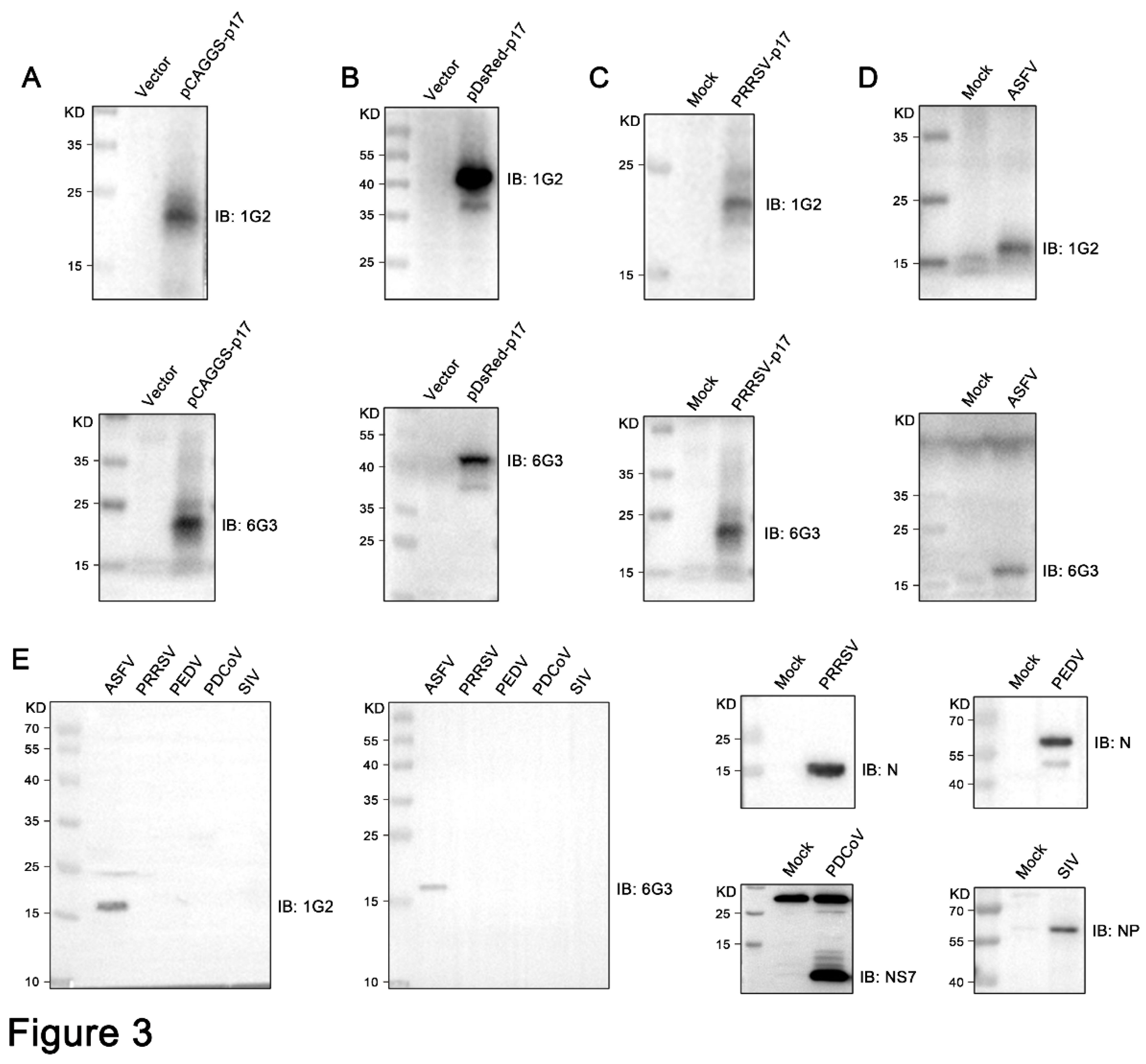 Preprints 137893 g003