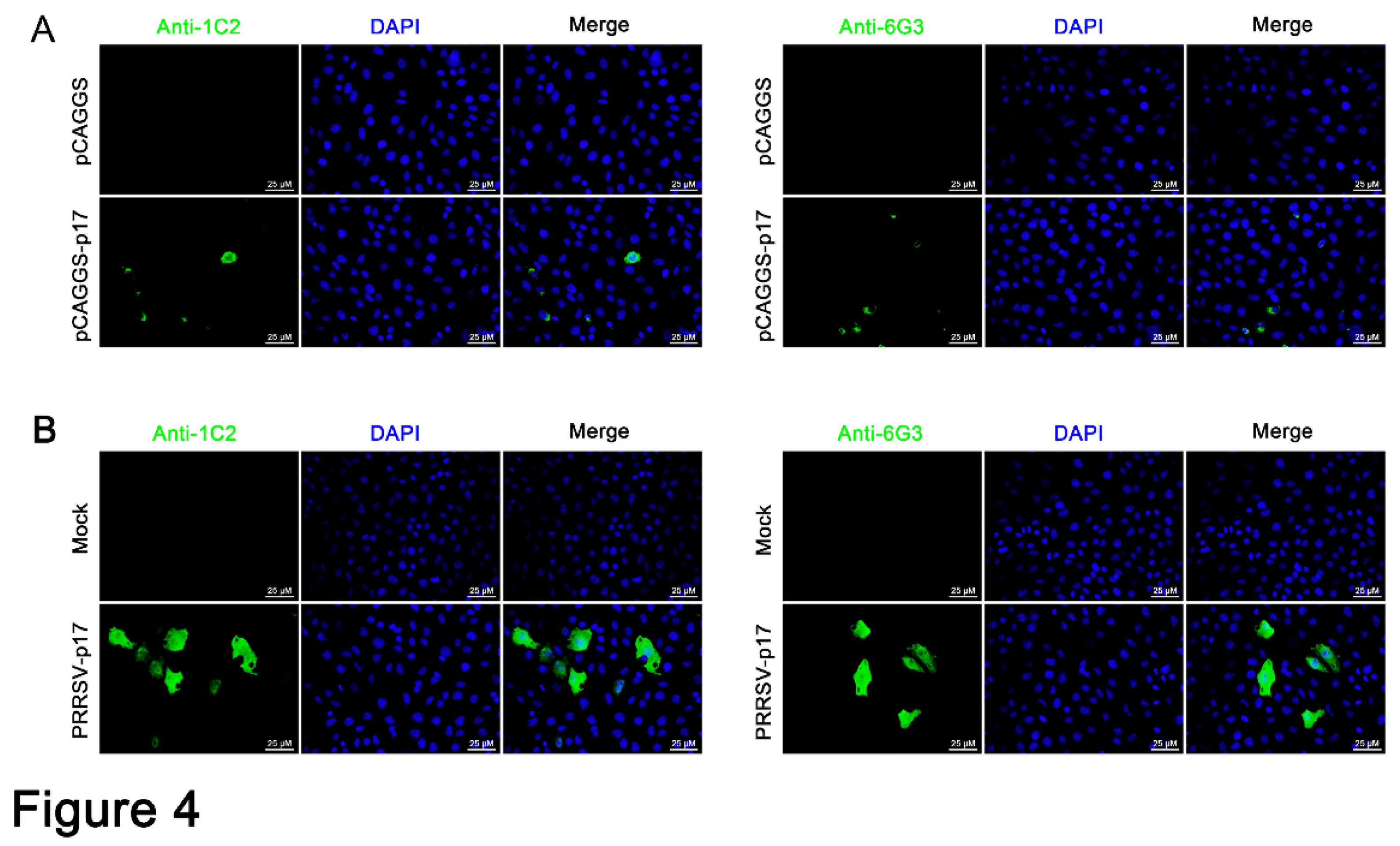 Preprints 137893 g004