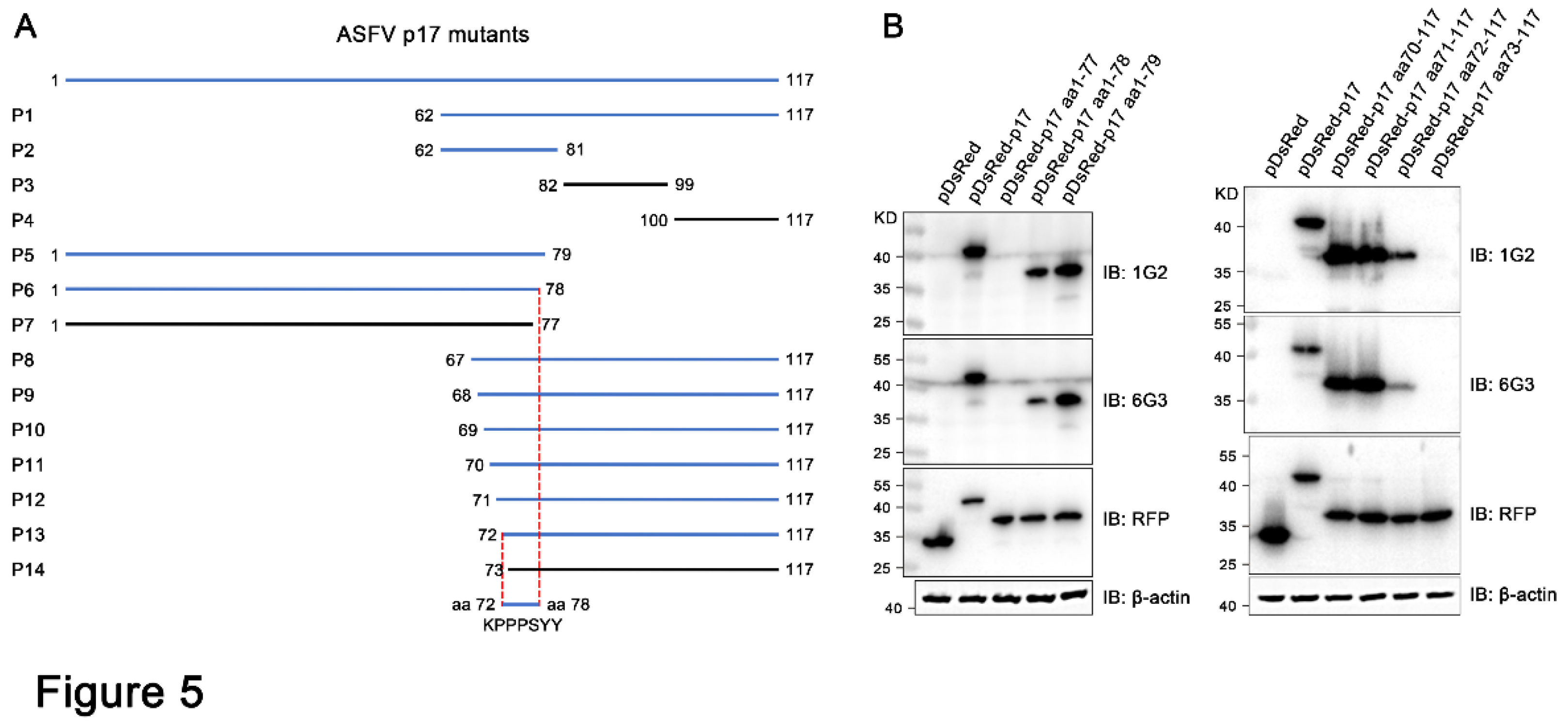 Preprints 137893 g005