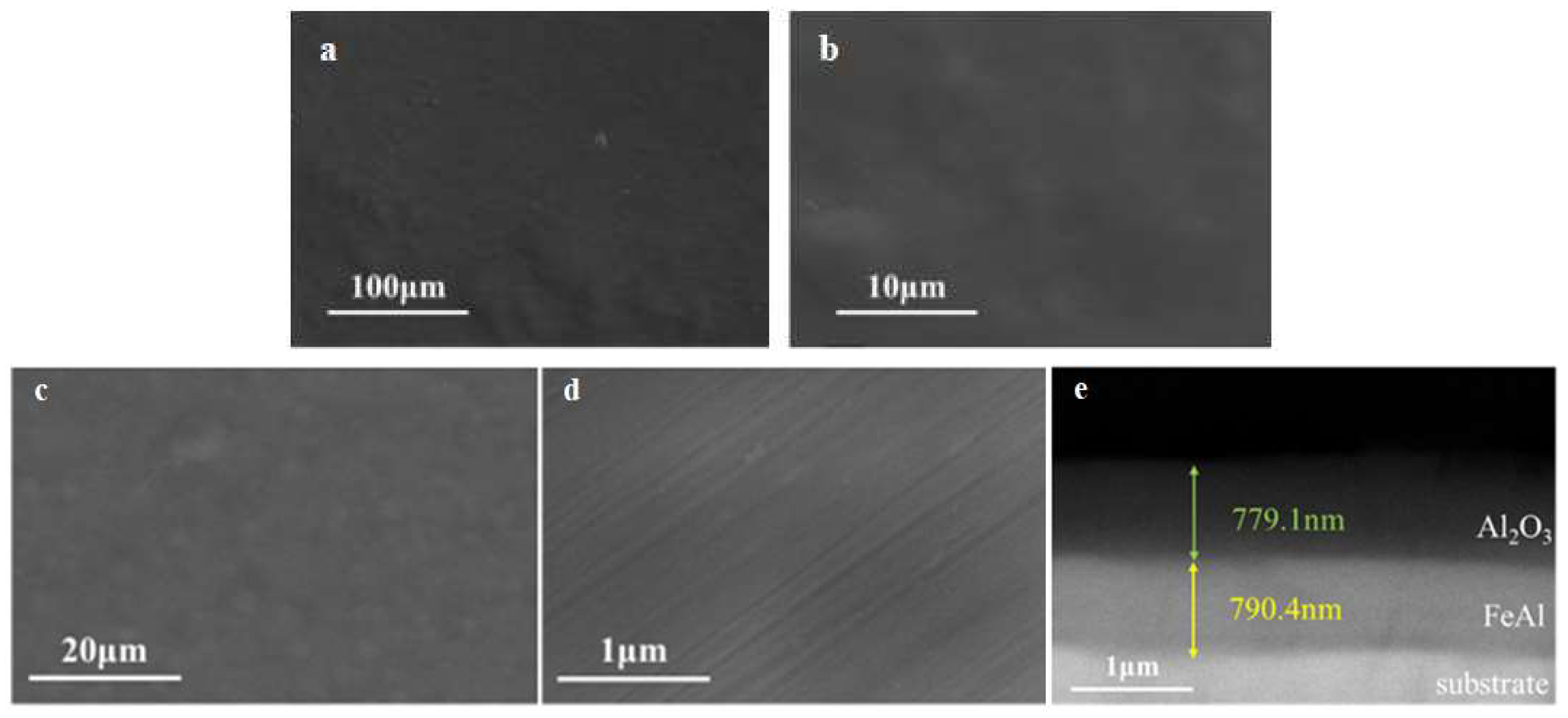 Preprints 117877 g008