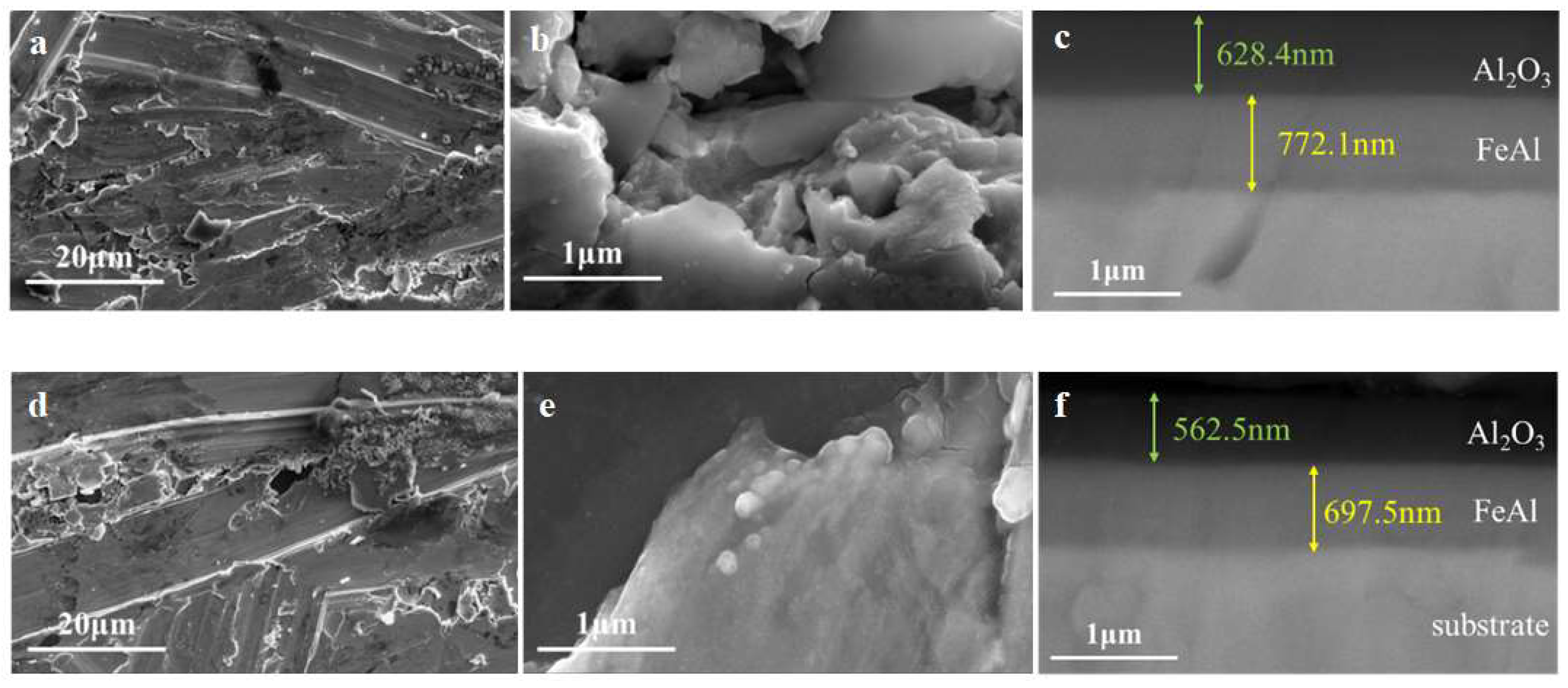 Preprints 117877 g011