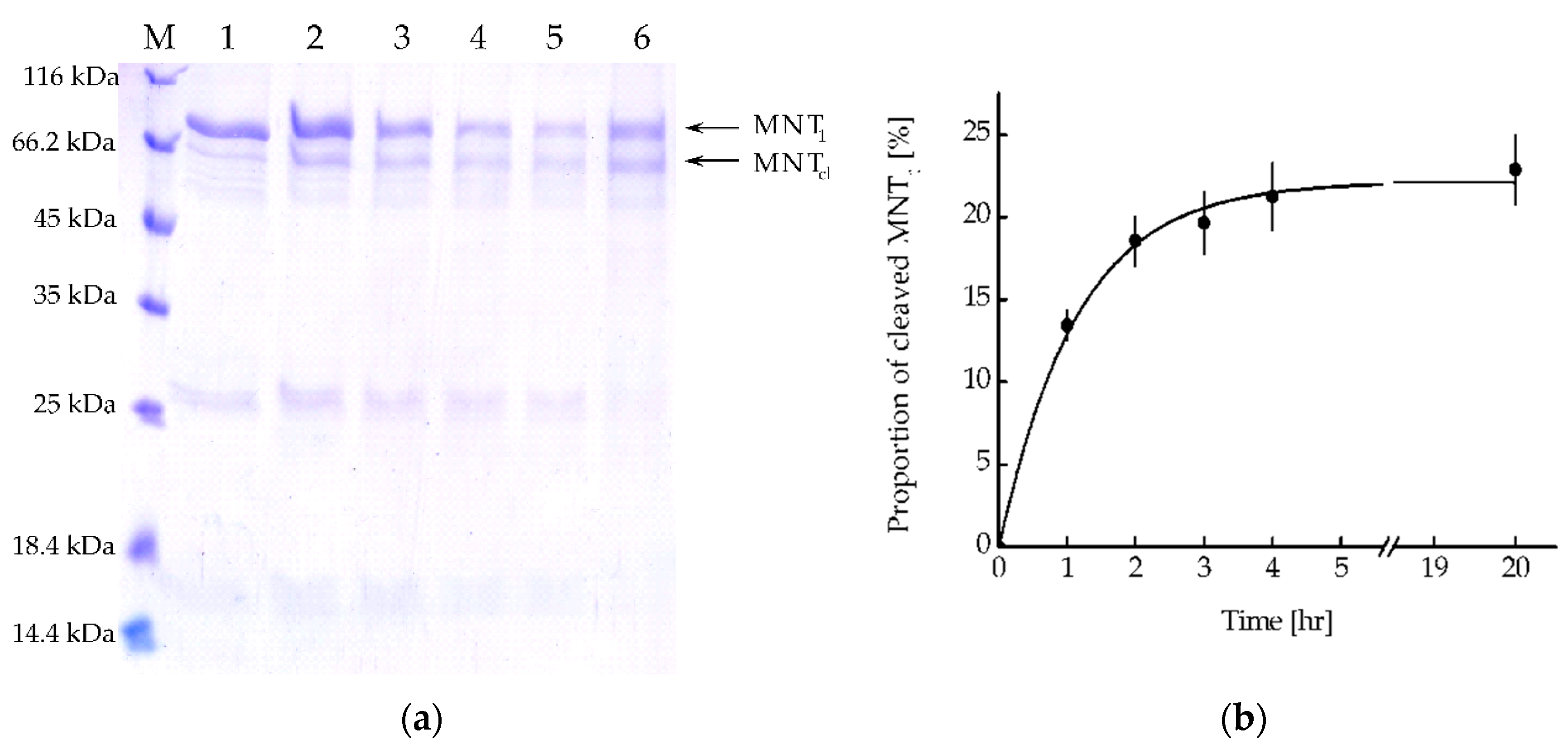 Preprints 89602 g005