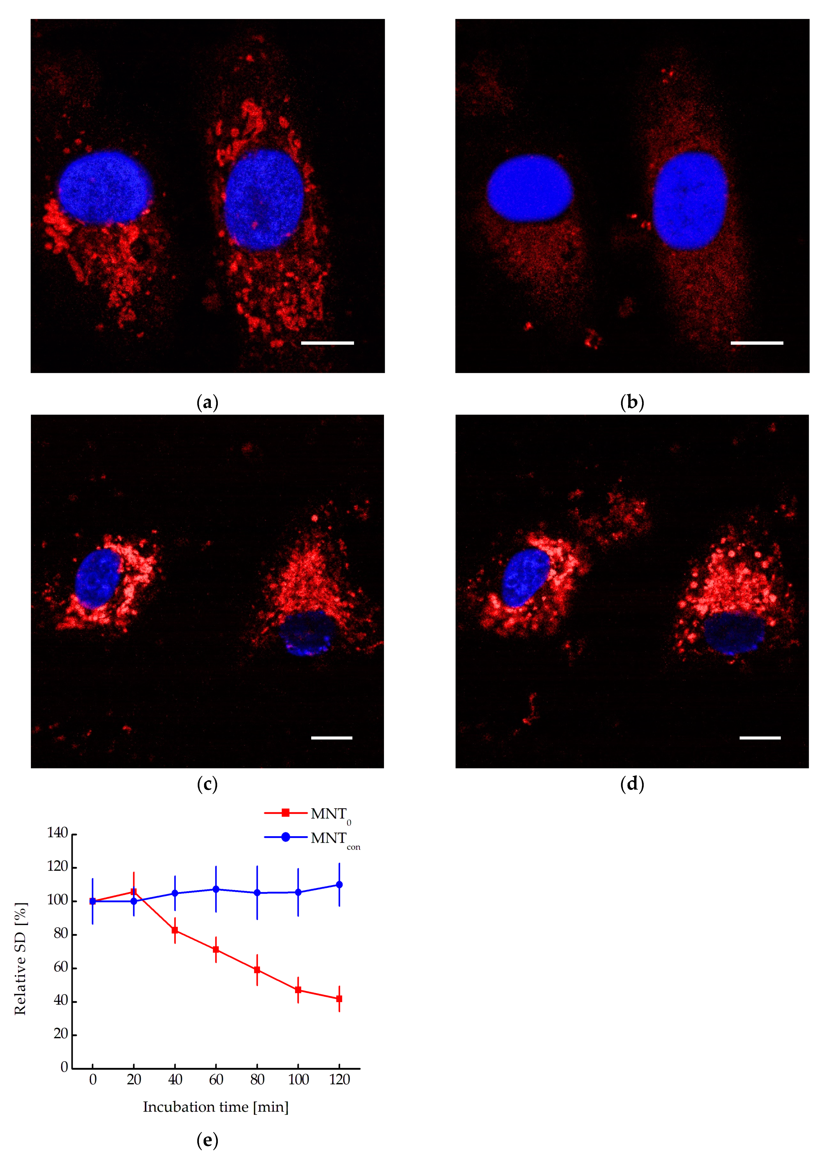 Preprints 89602 g006