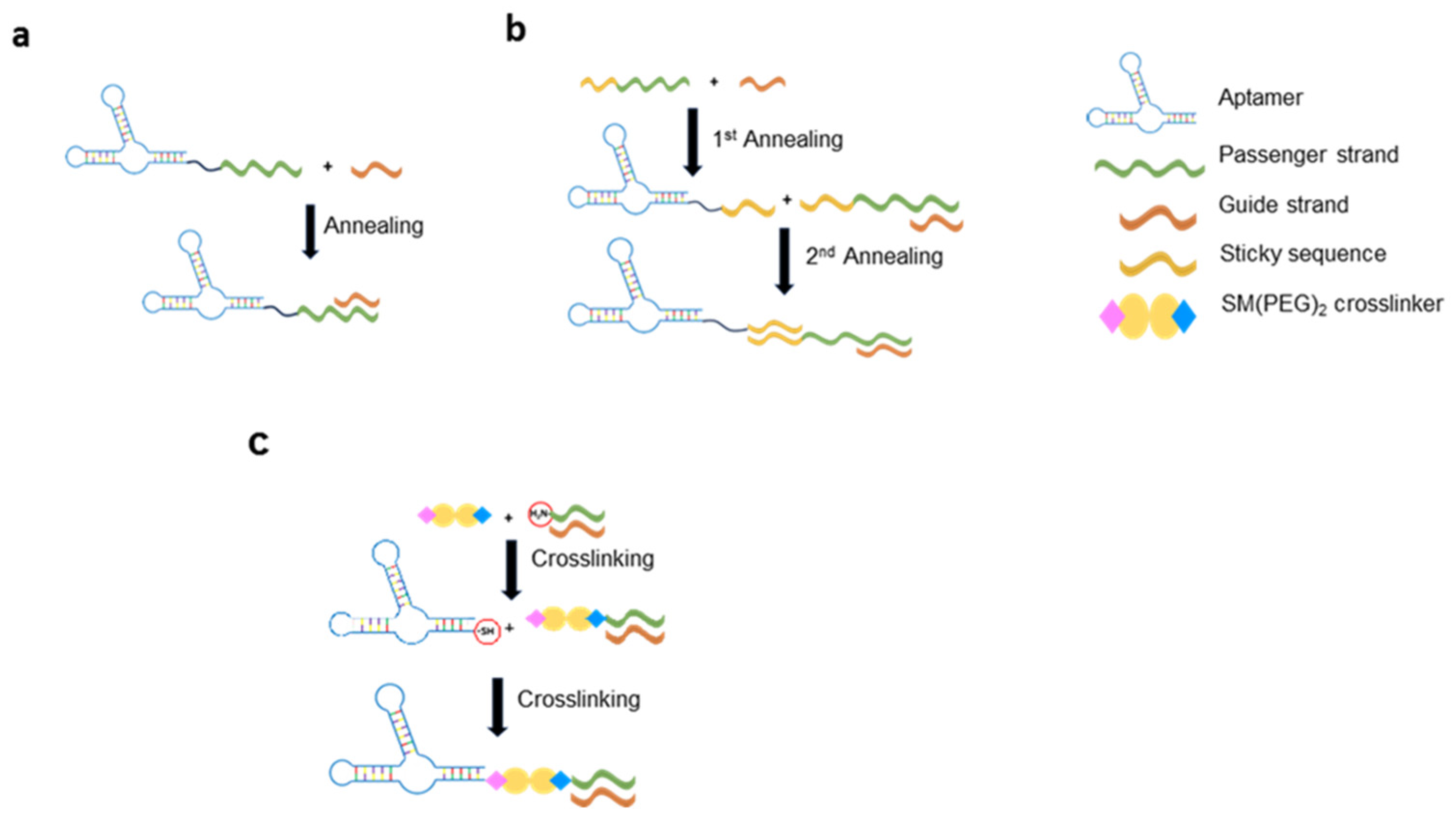 Preprints 119062 g001