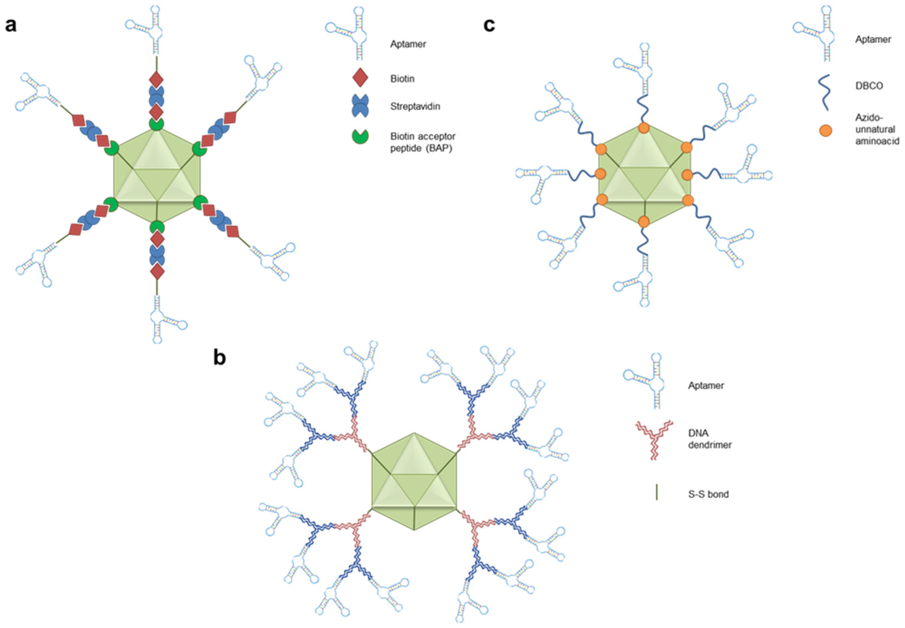 Preprints 119062 g002