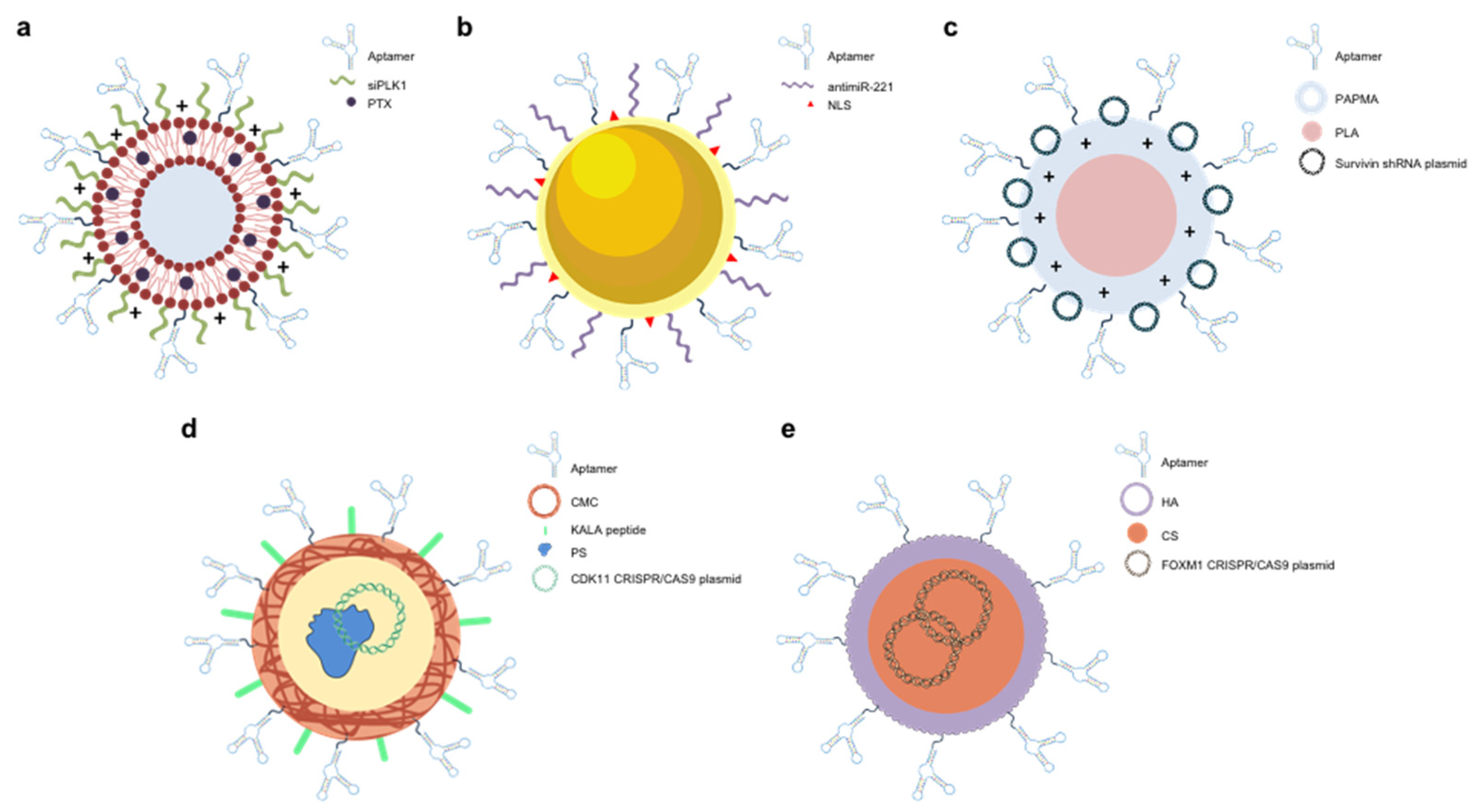 Preprints 119062 g003