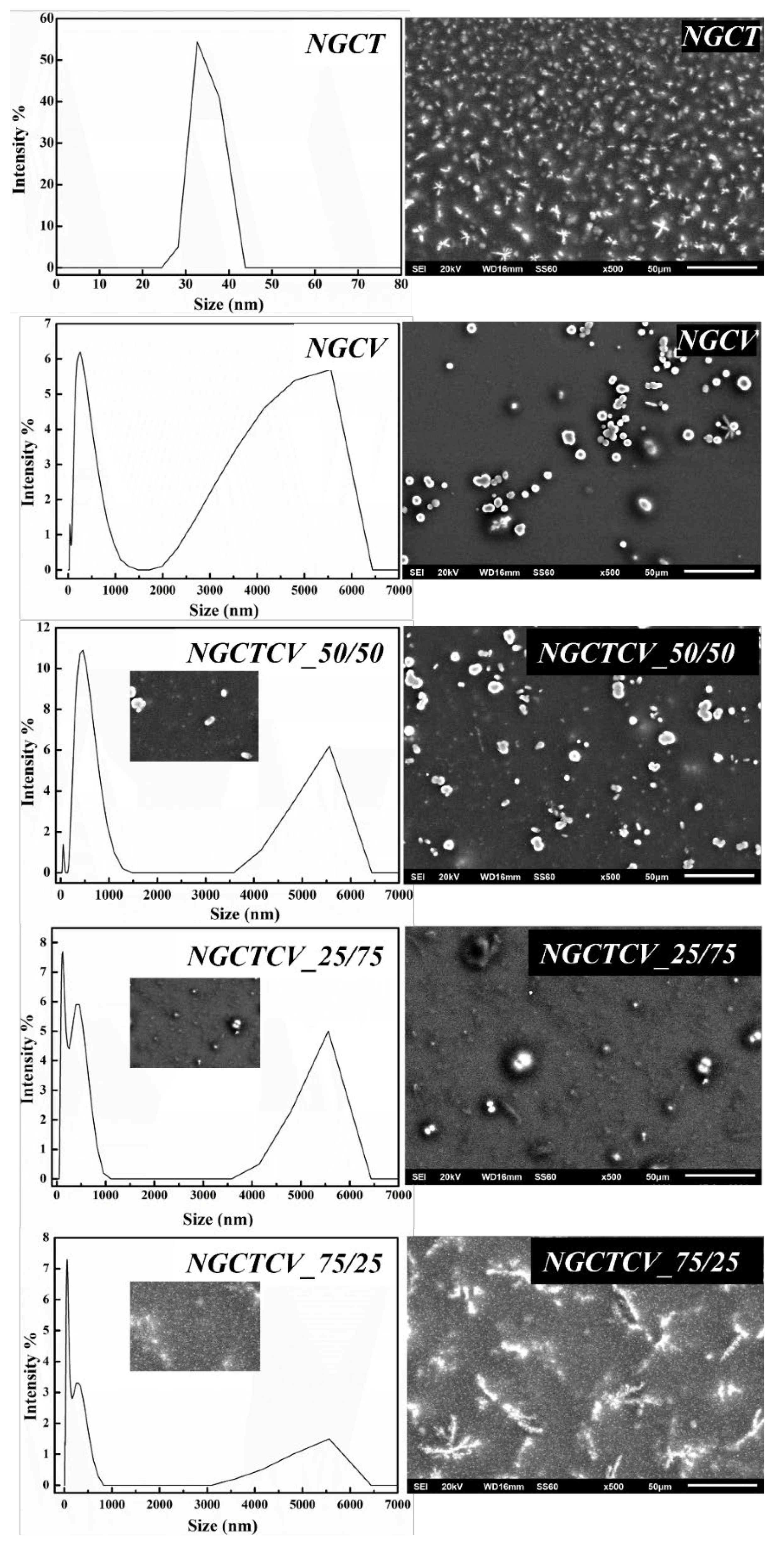 Preprints 120925 g001