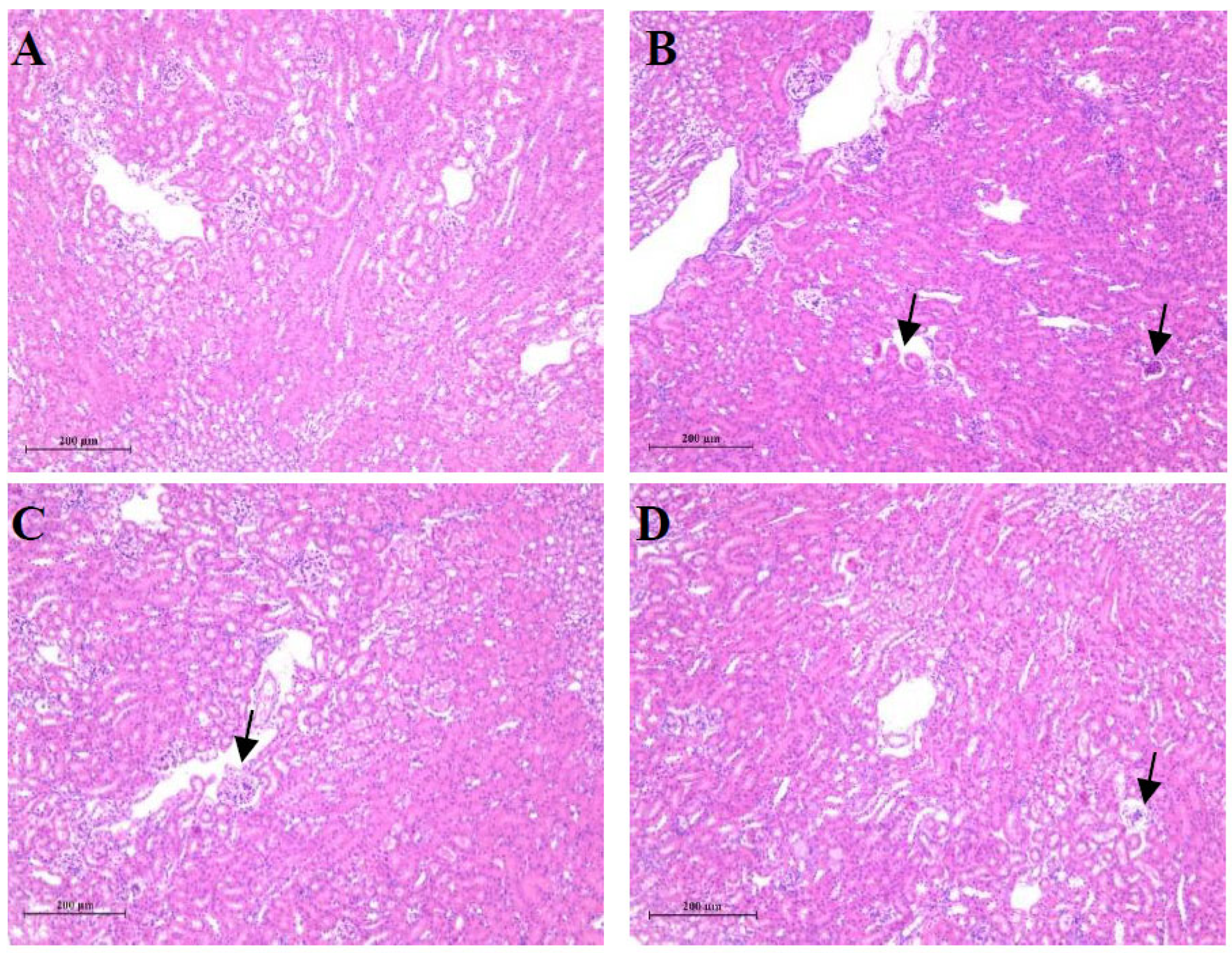 Preprints 92930 g002