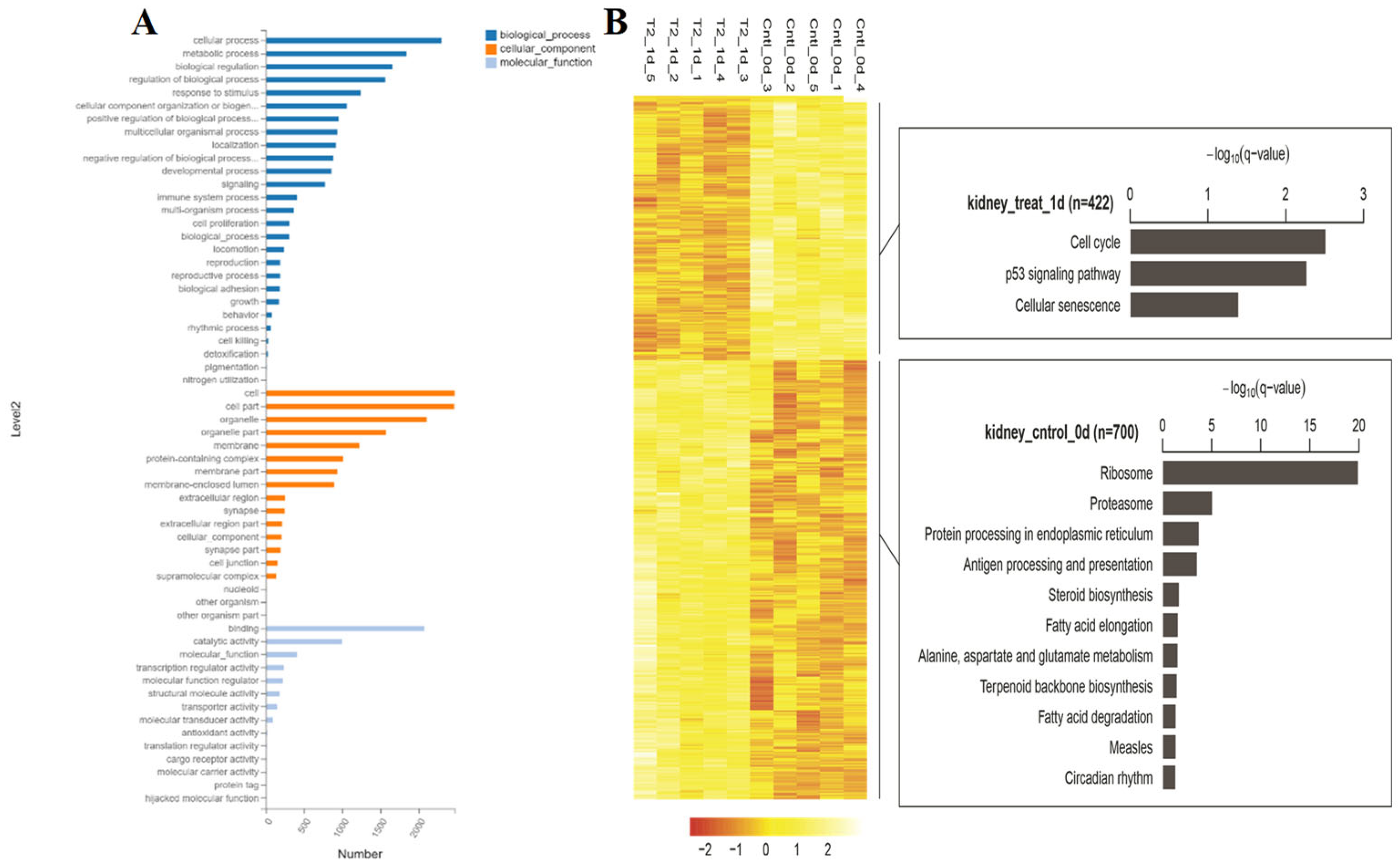 Preprints 92930 g006