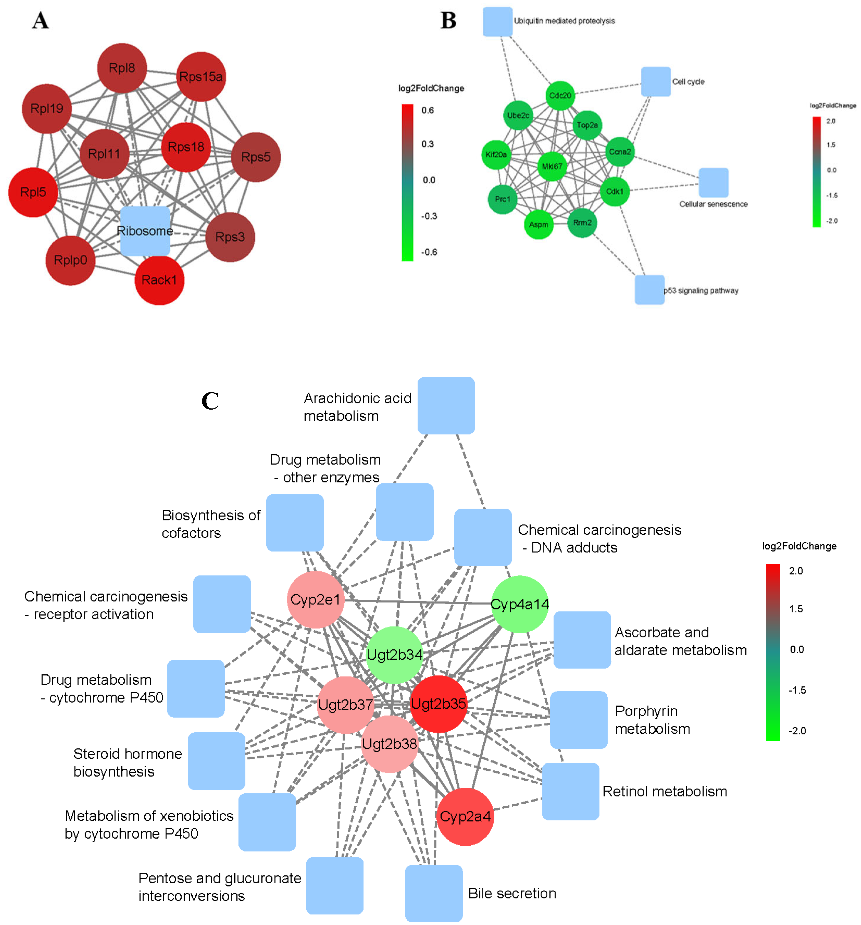 Preprints 92930 g007