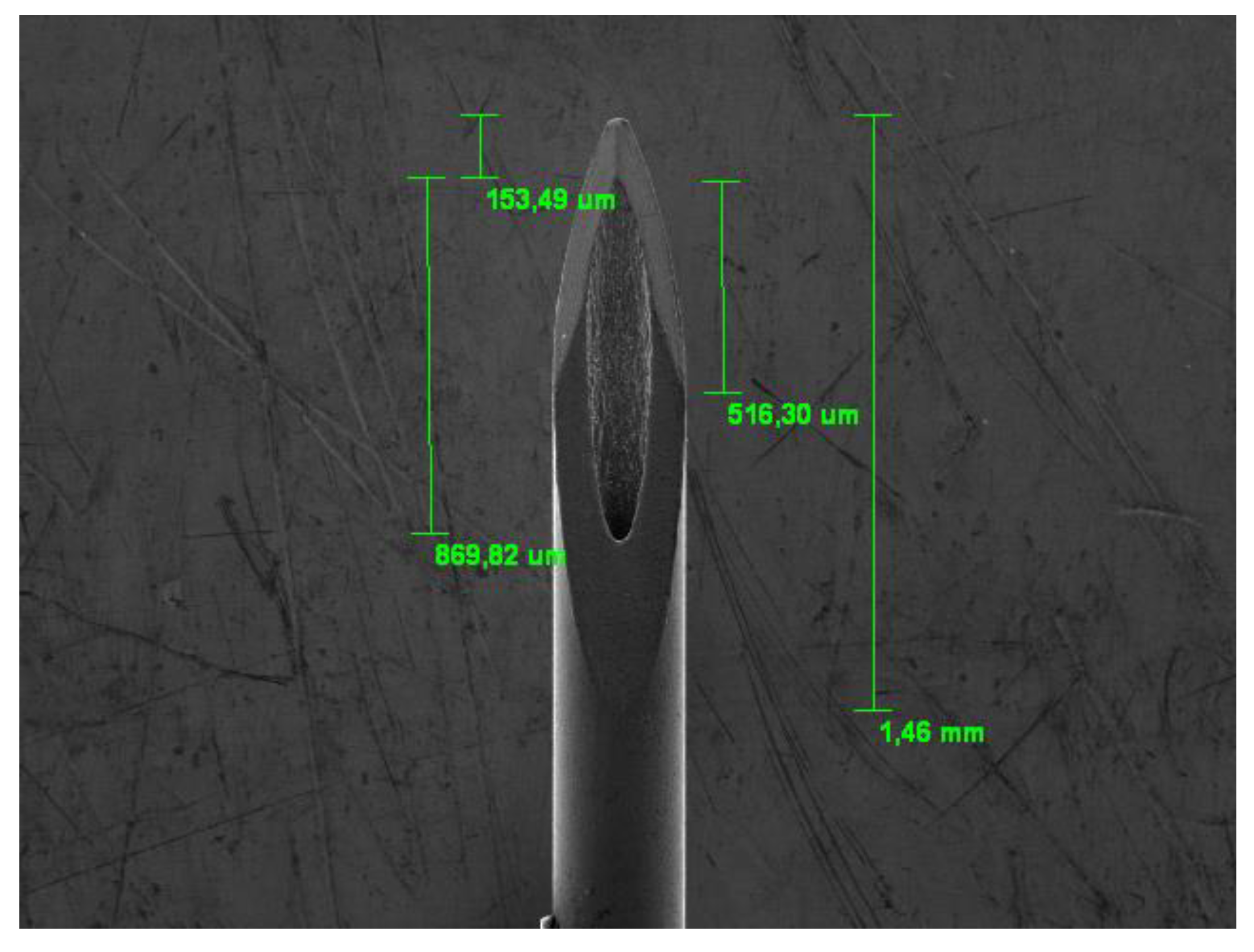 Preprints 111024 g004