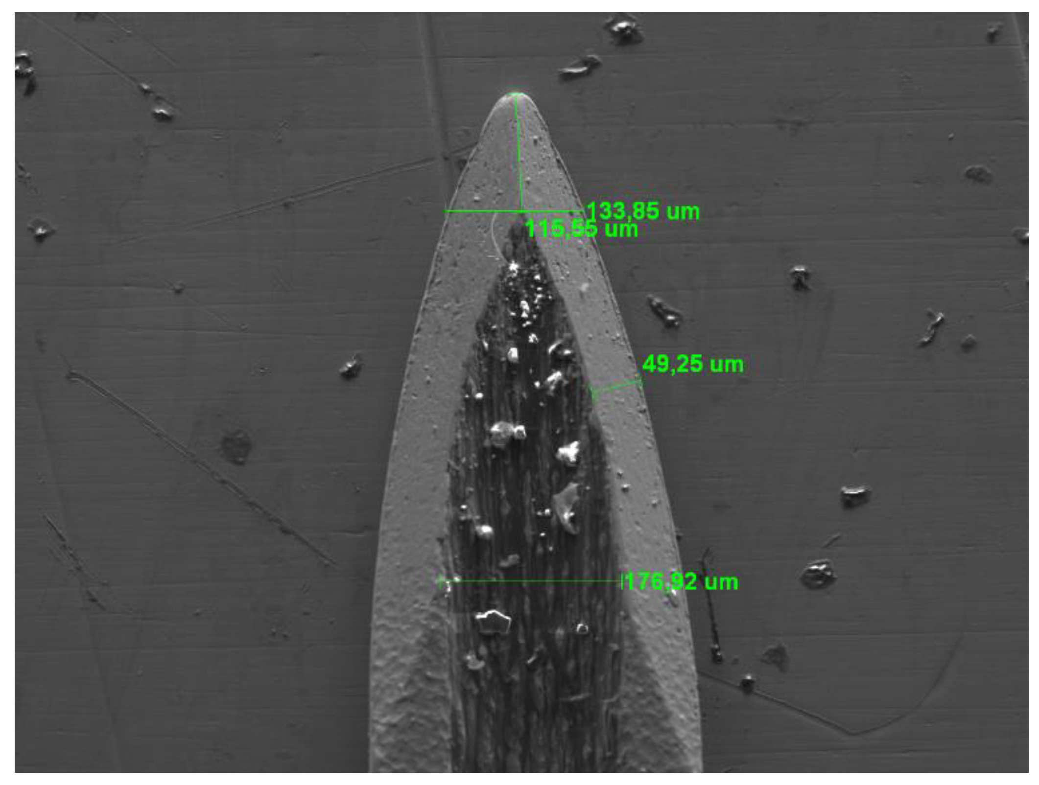 Preprints 111024 g005