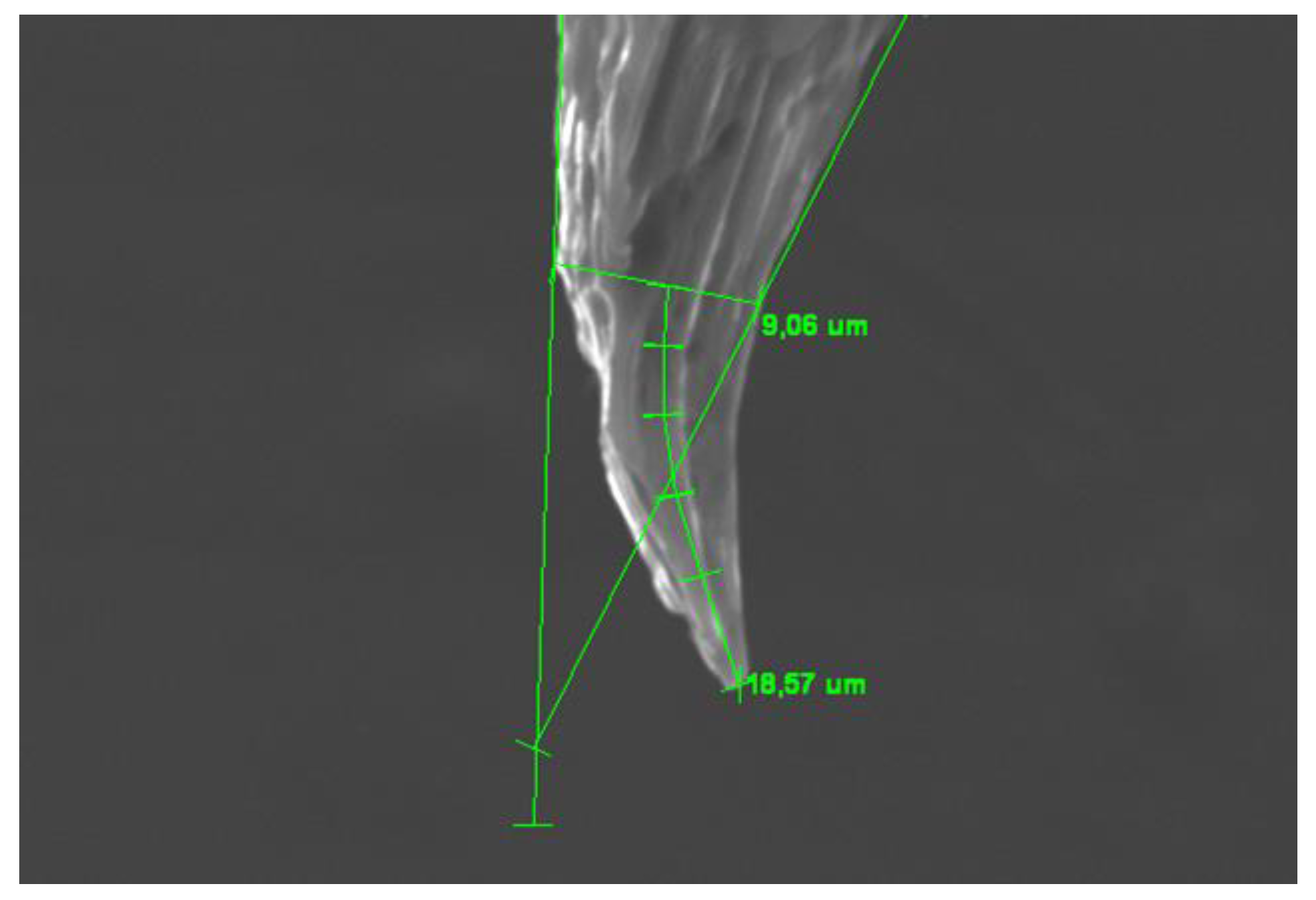 Preprints 111024 g007