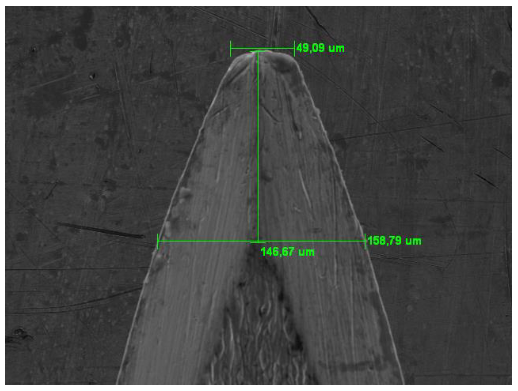 Preprints 111024 g012