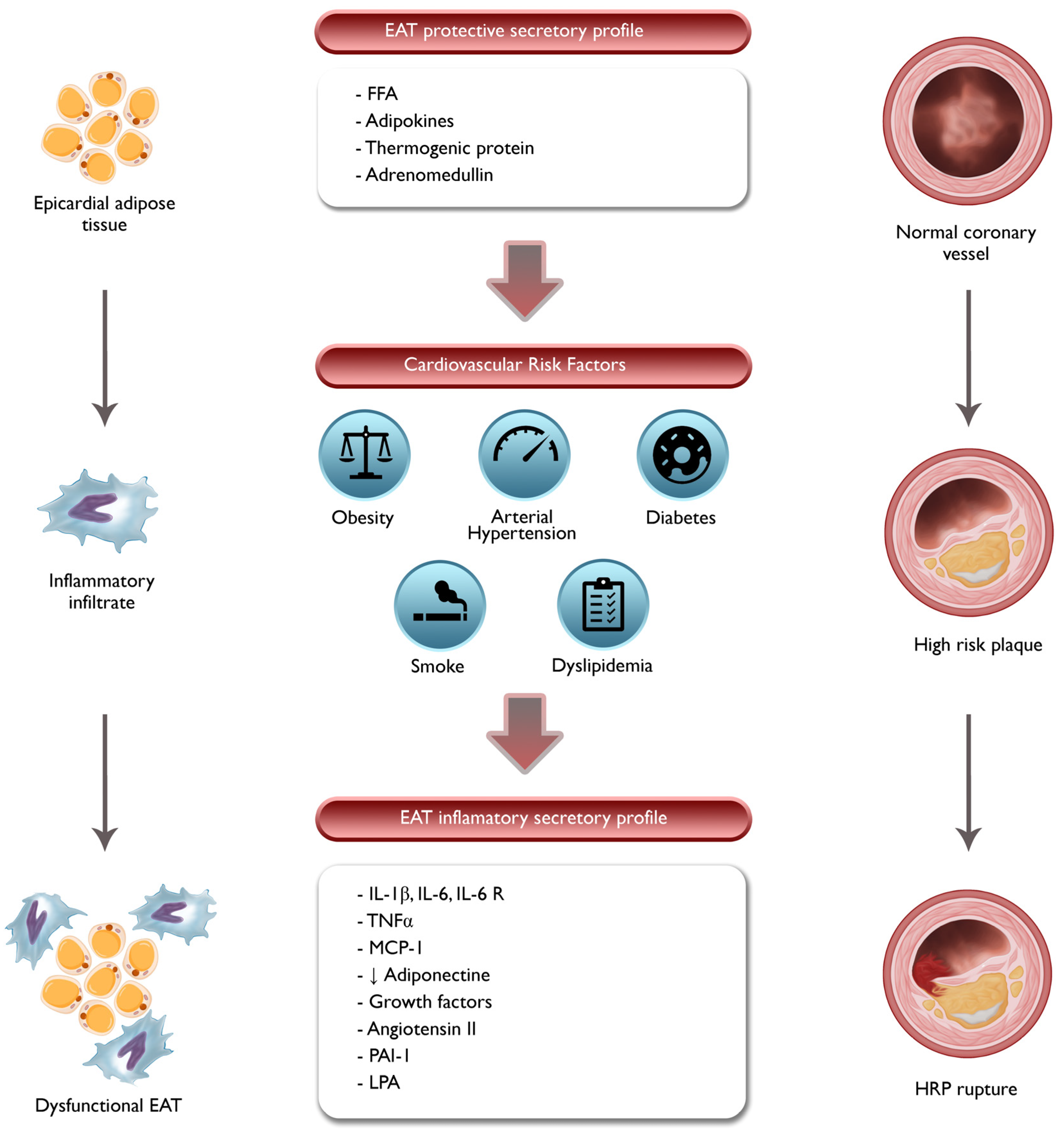 Preprints 84338 g003