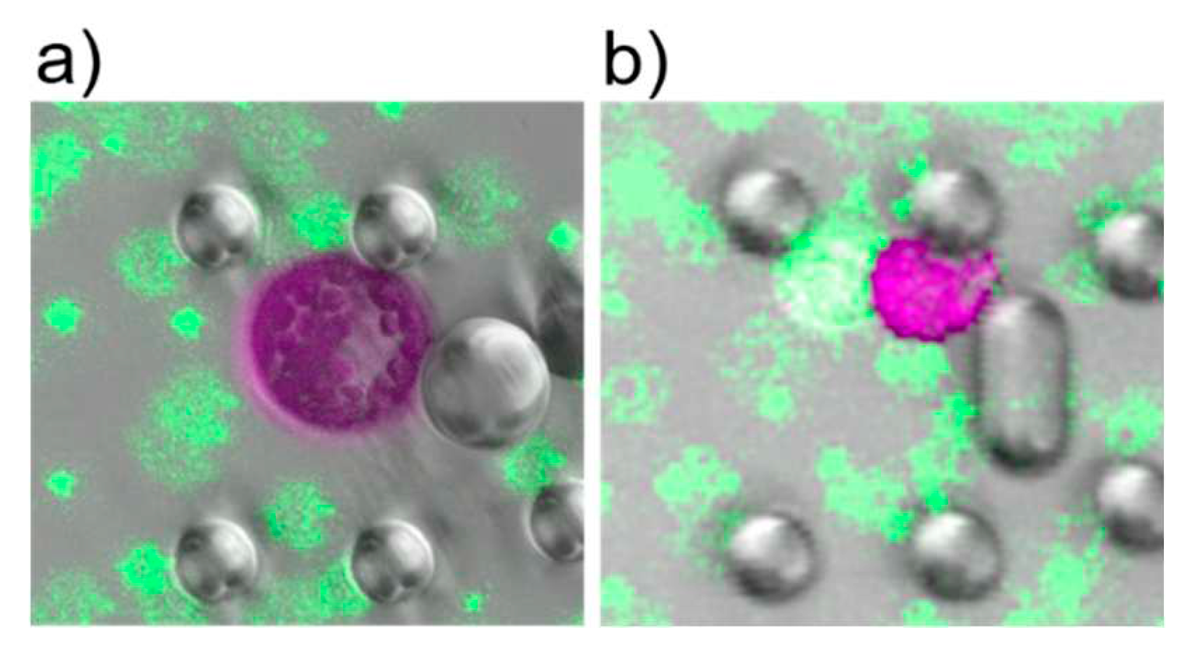 Preprints 93367 g004