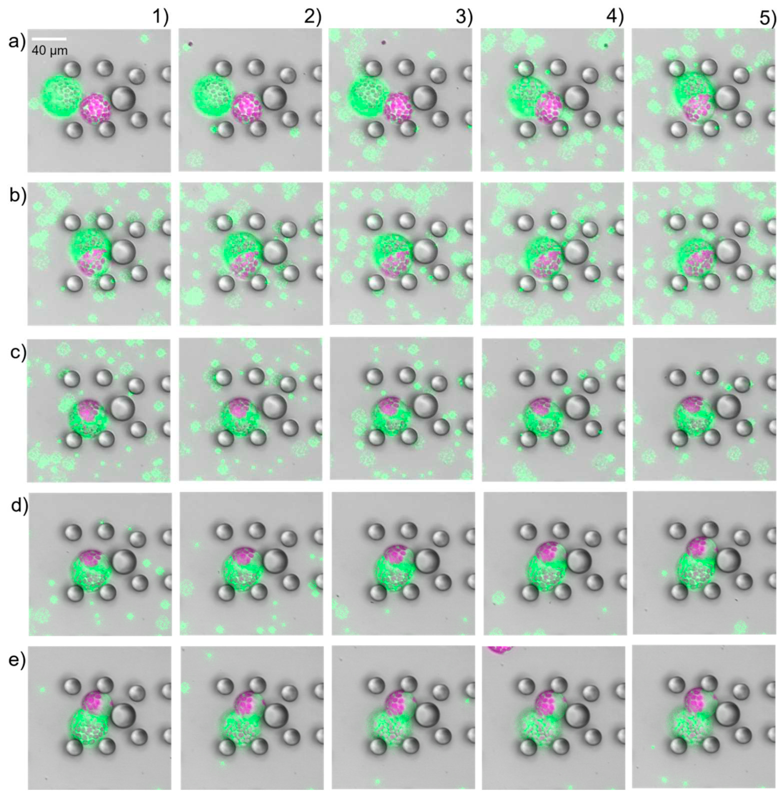 Preprints 93367 g005