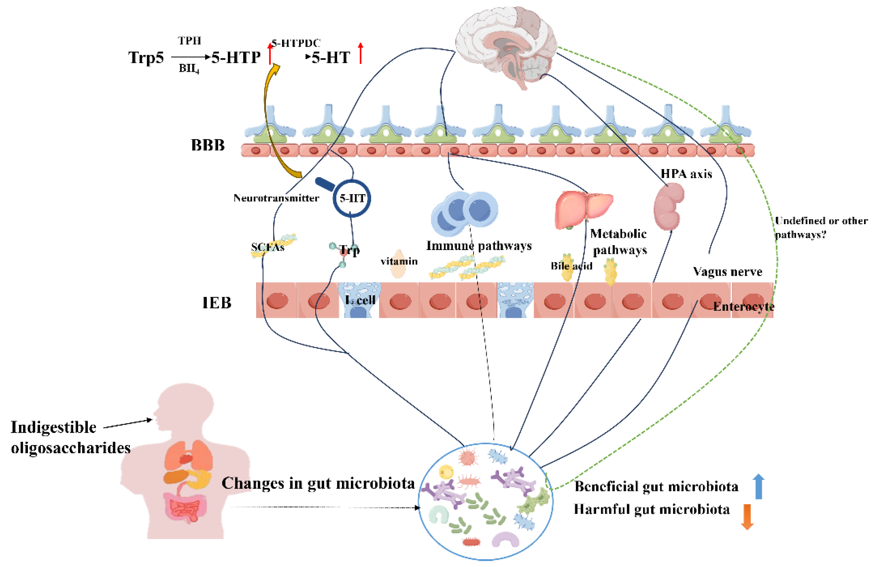 Preprints 107940 g002