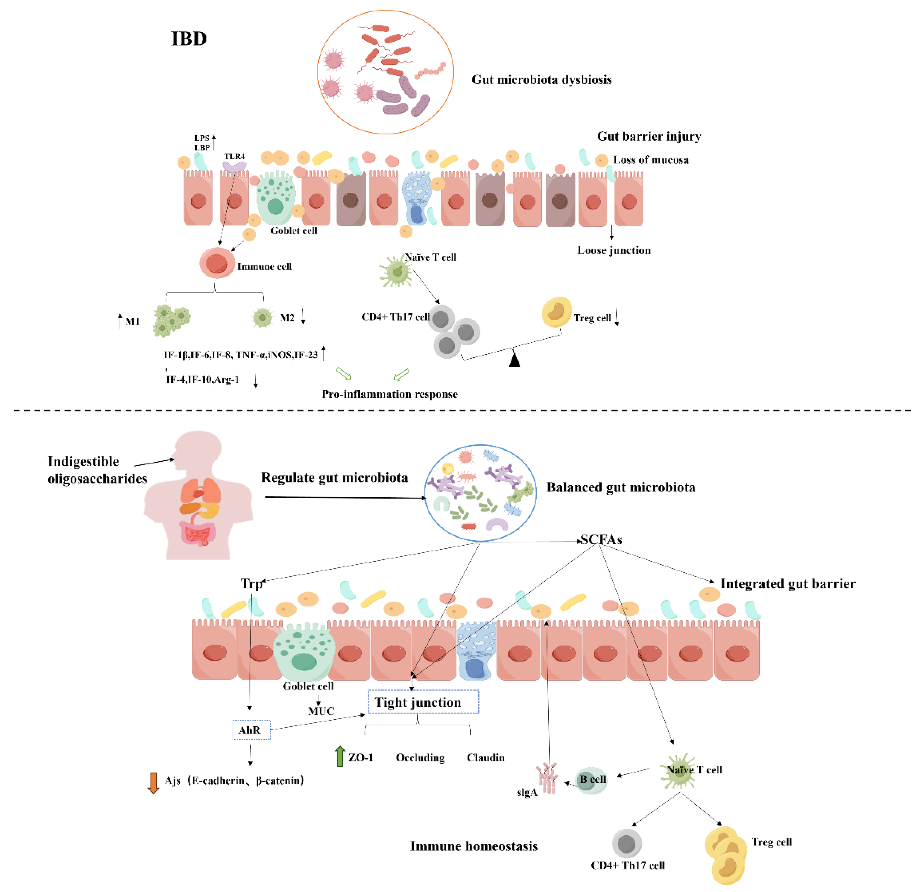 Preprints 107940 g003