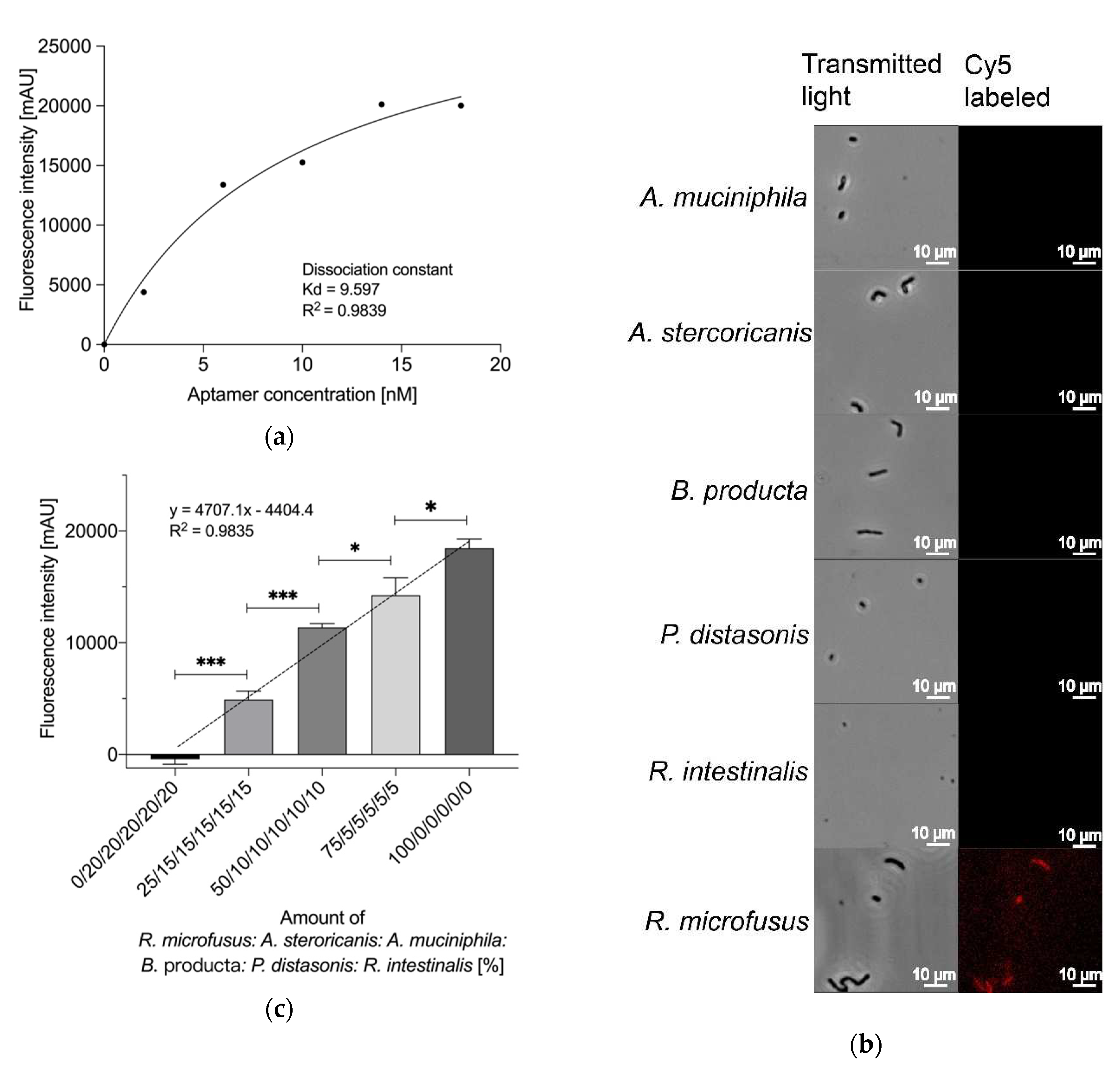 Preprints 81025 g003