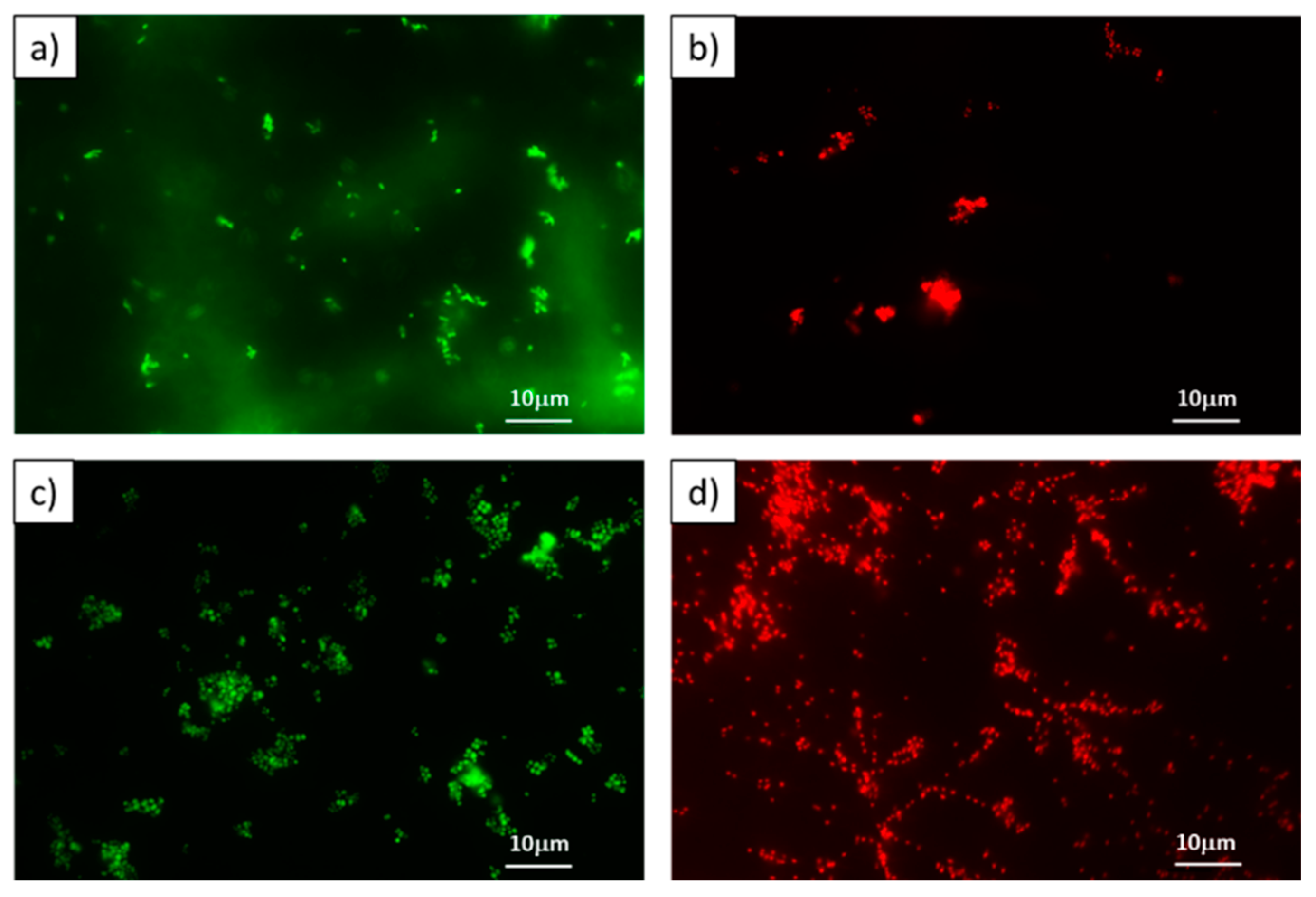 Preprints 80757 g004