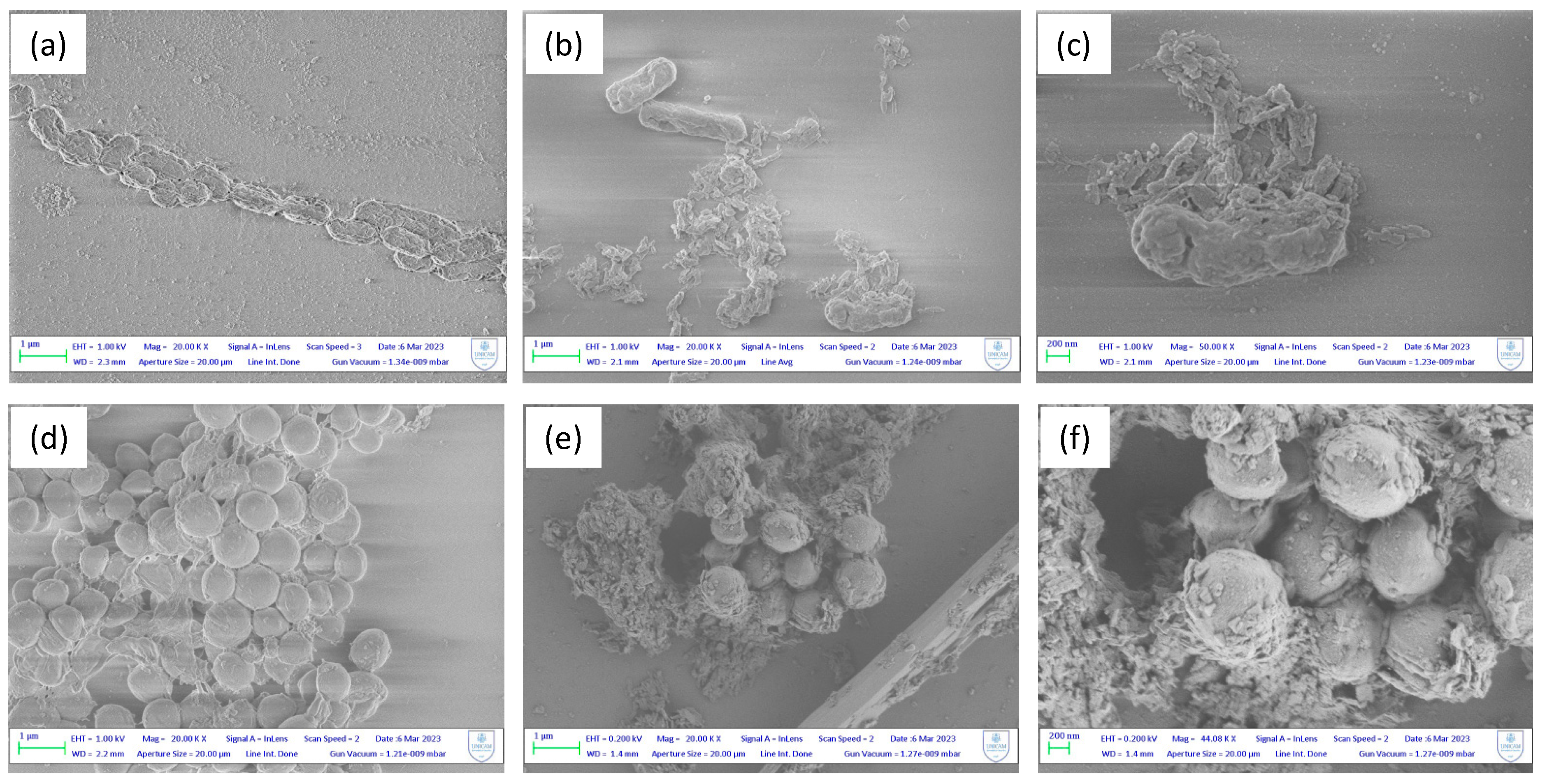 Preprints 80757 g005