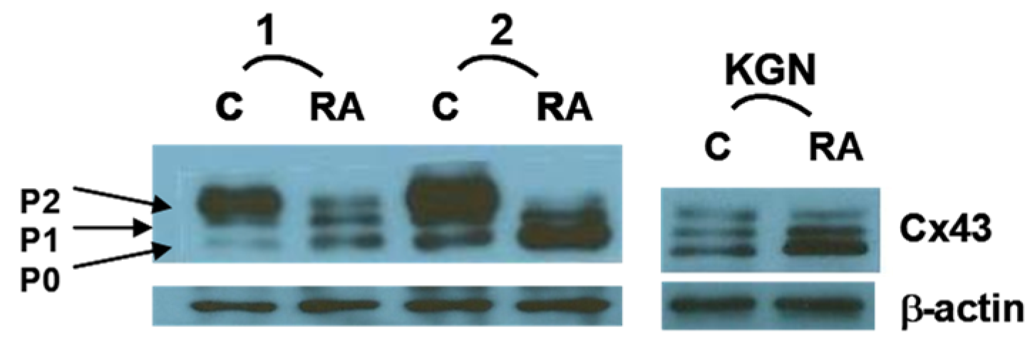 Preprints 93418 g002