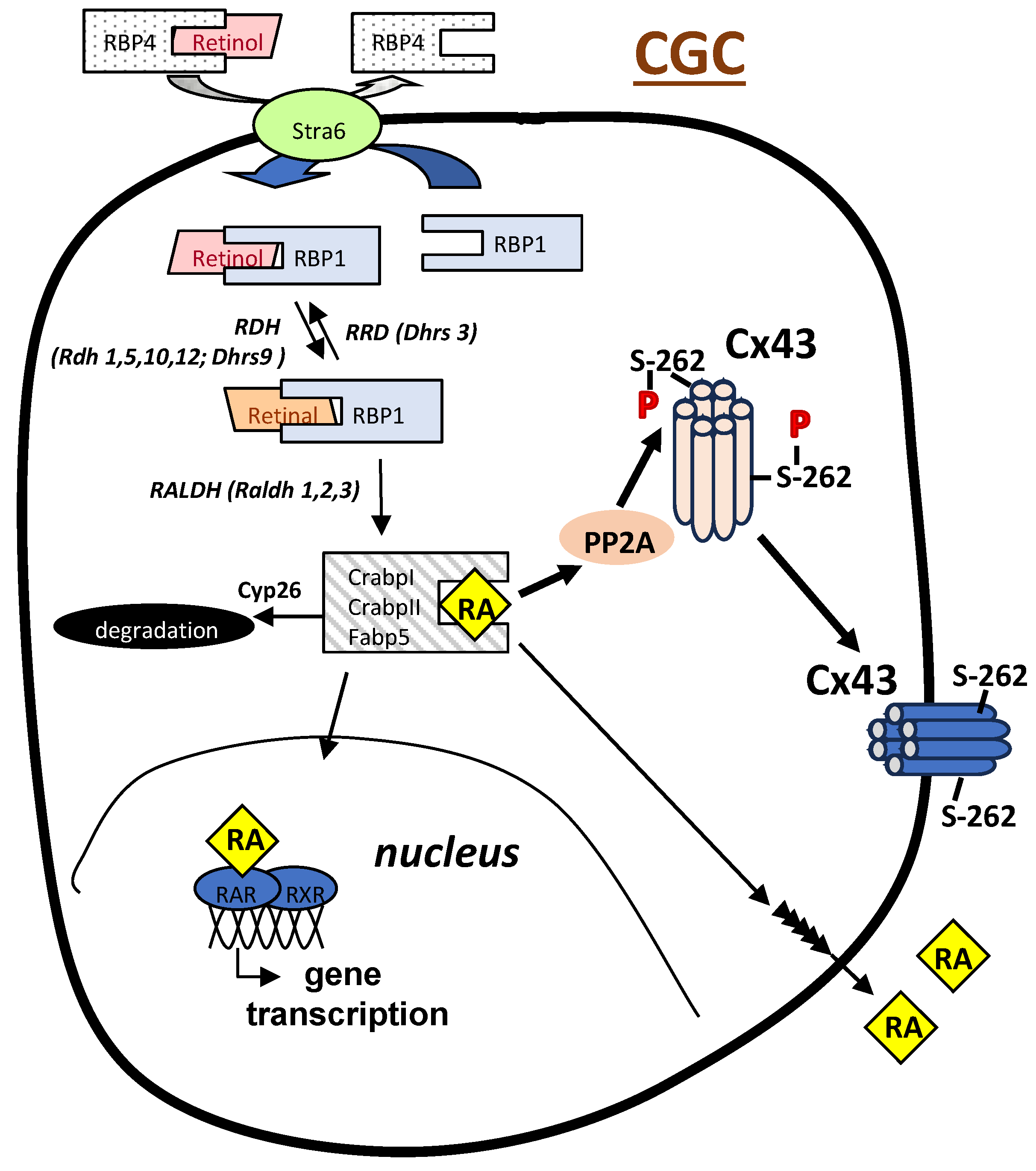 Preprints 93418 g003