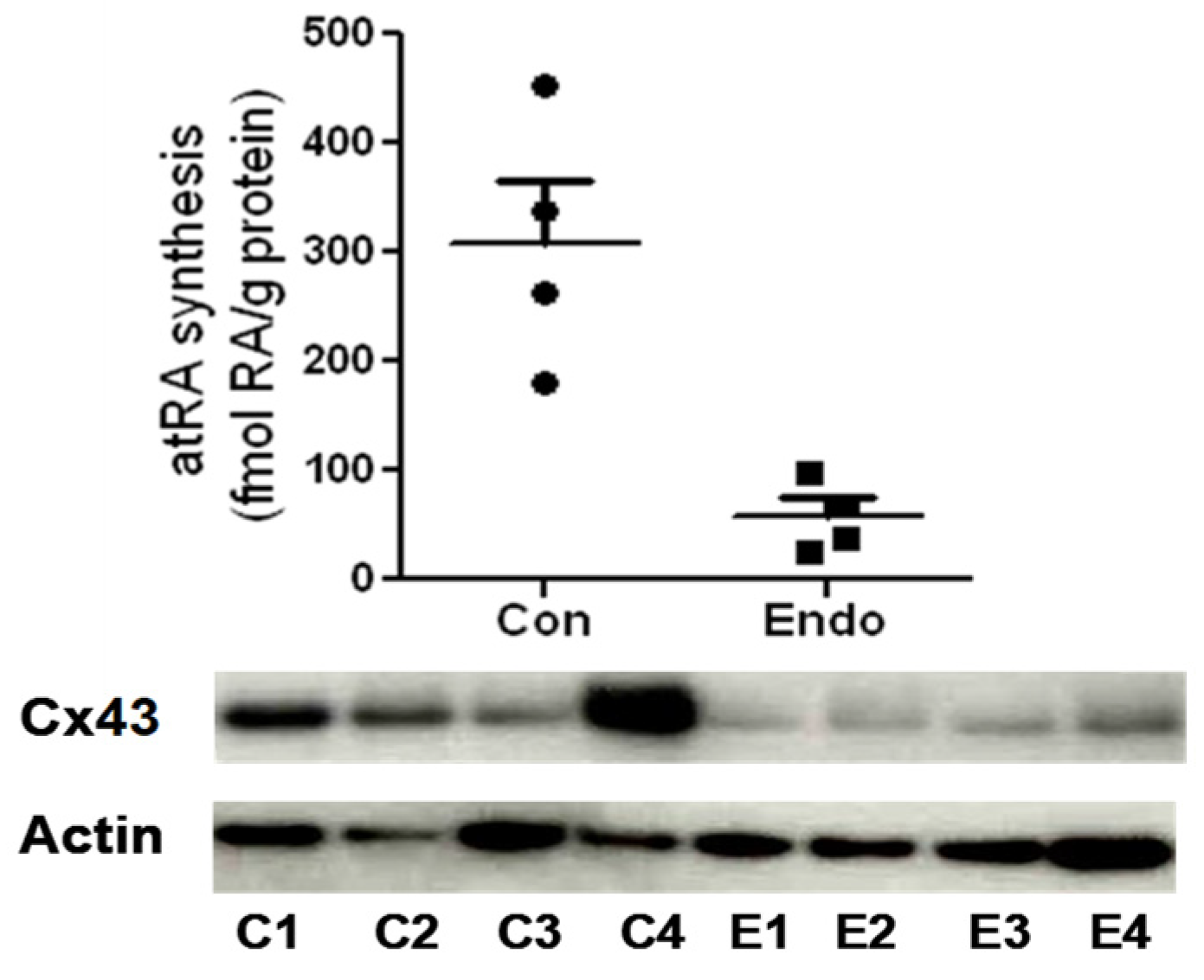 Preprints 93418 g004