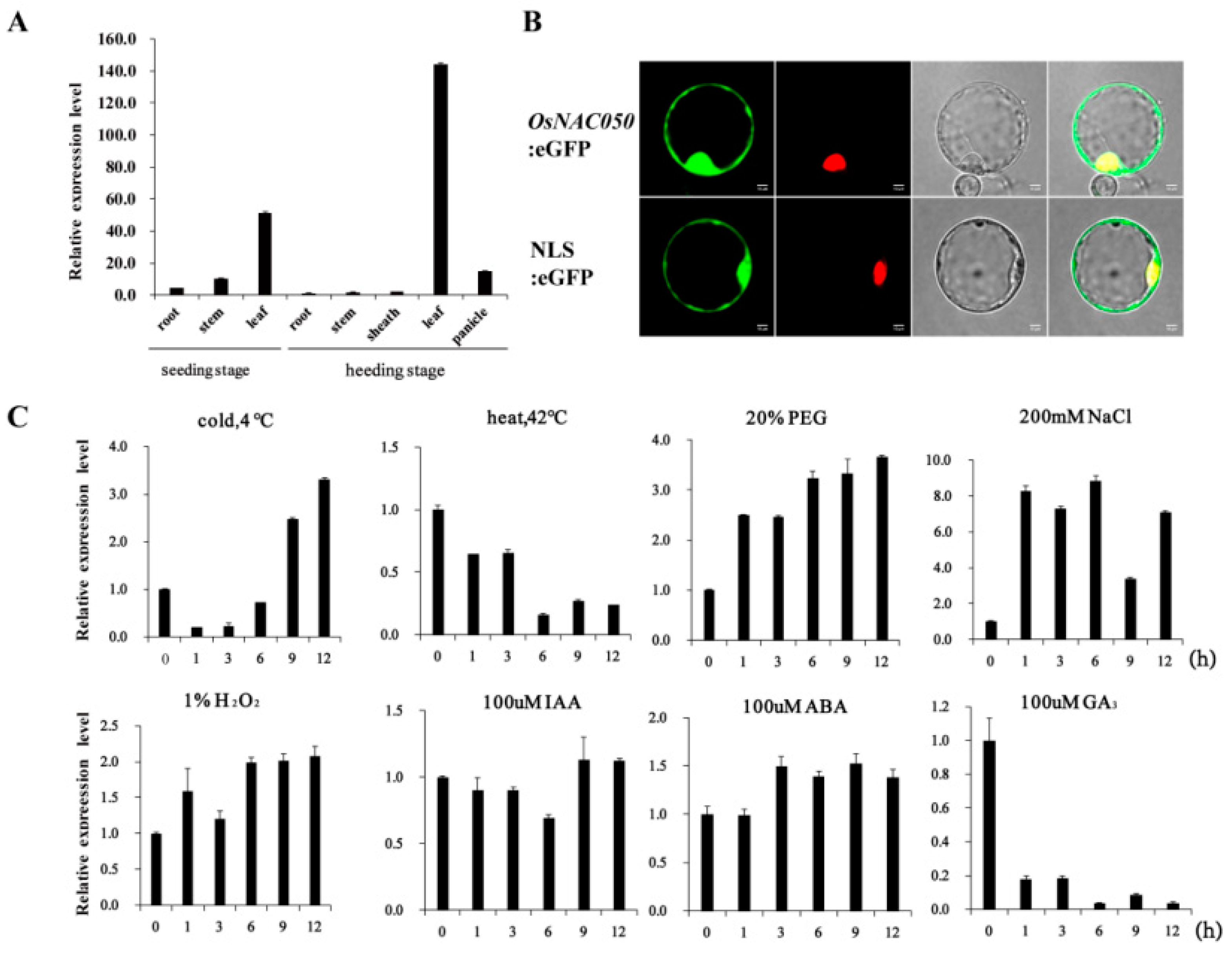 Preprints 73038 g001