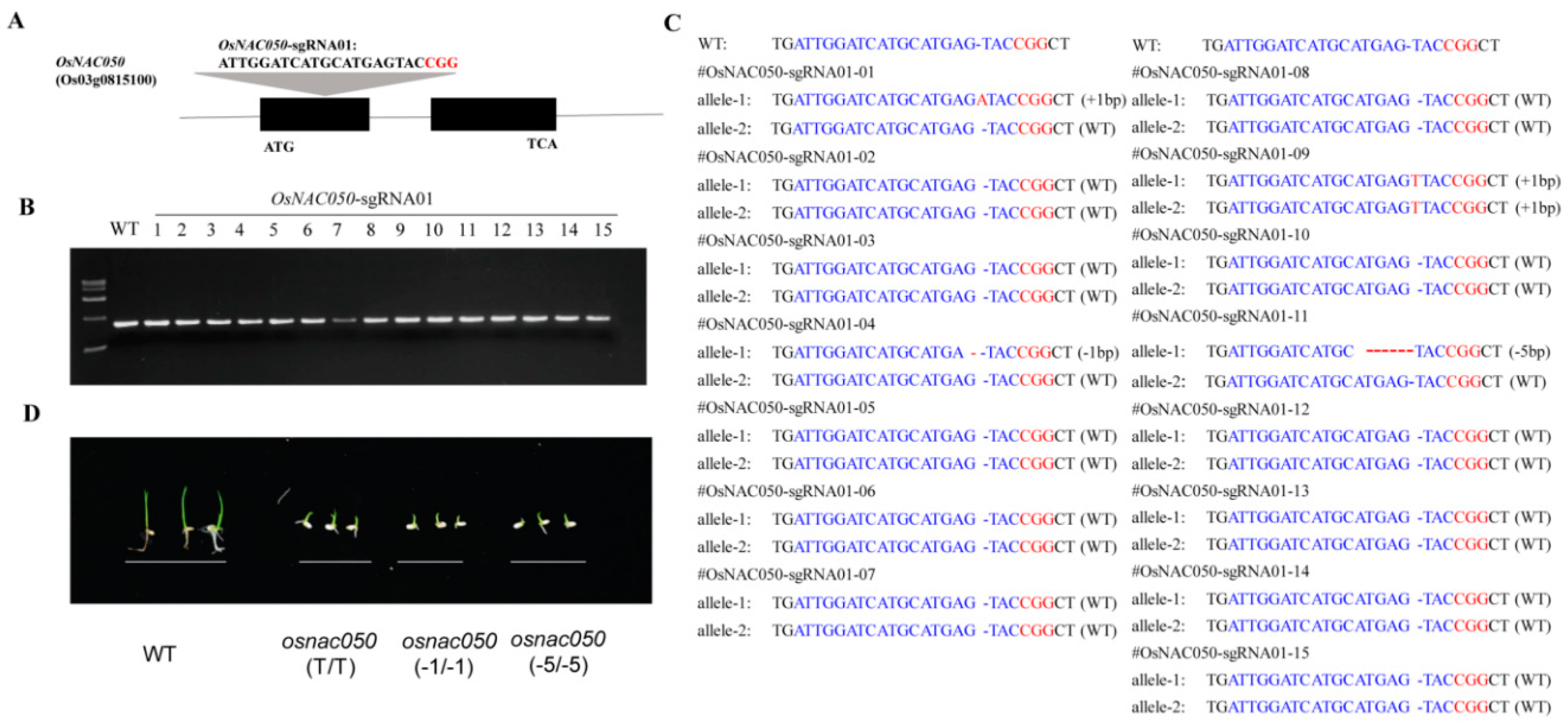 Preprints 73038 g002